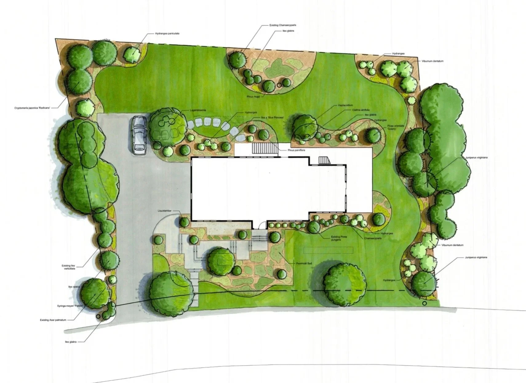 Senatore+Color+Rendering.jpg