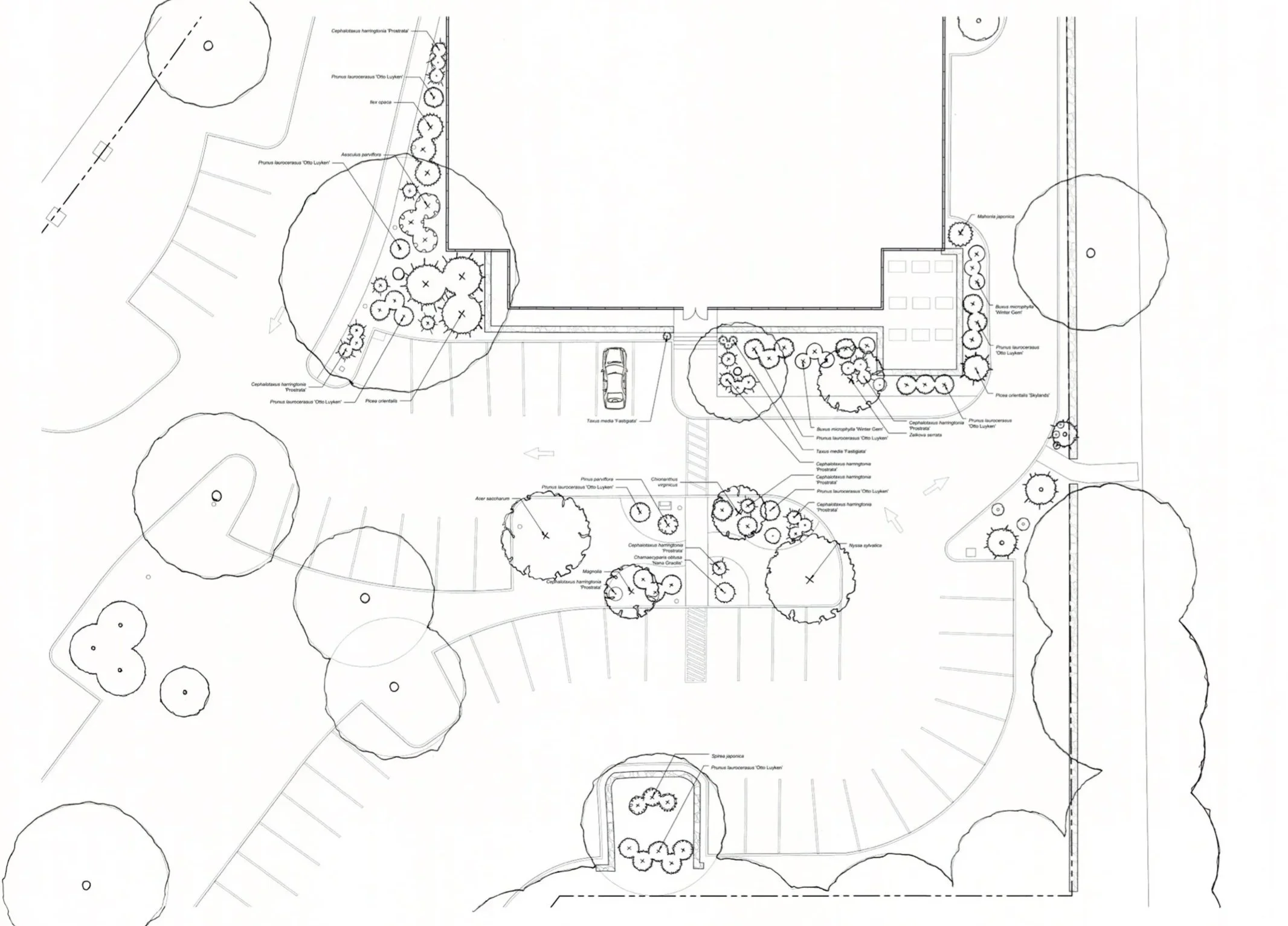 Post+West+Park+Line+Drawing.jpg