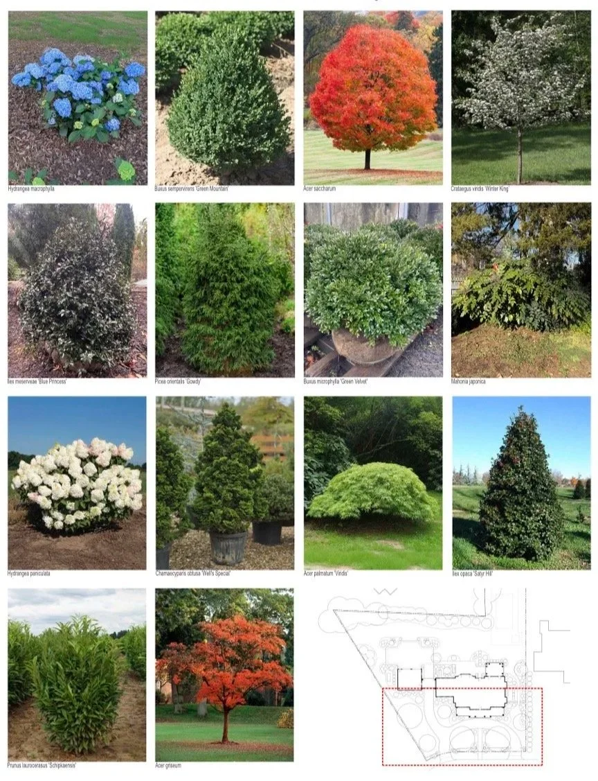 Montelli+Plant+Photos+with+location.jpg