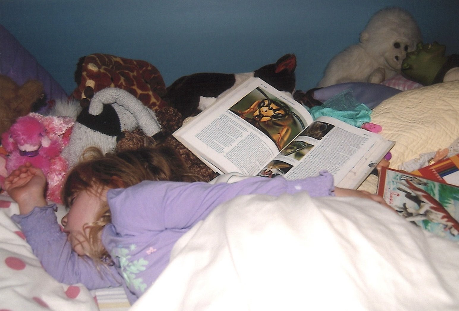 FedEx Scan 2024-09-25_13-35-45 (4) copy 5.jpg