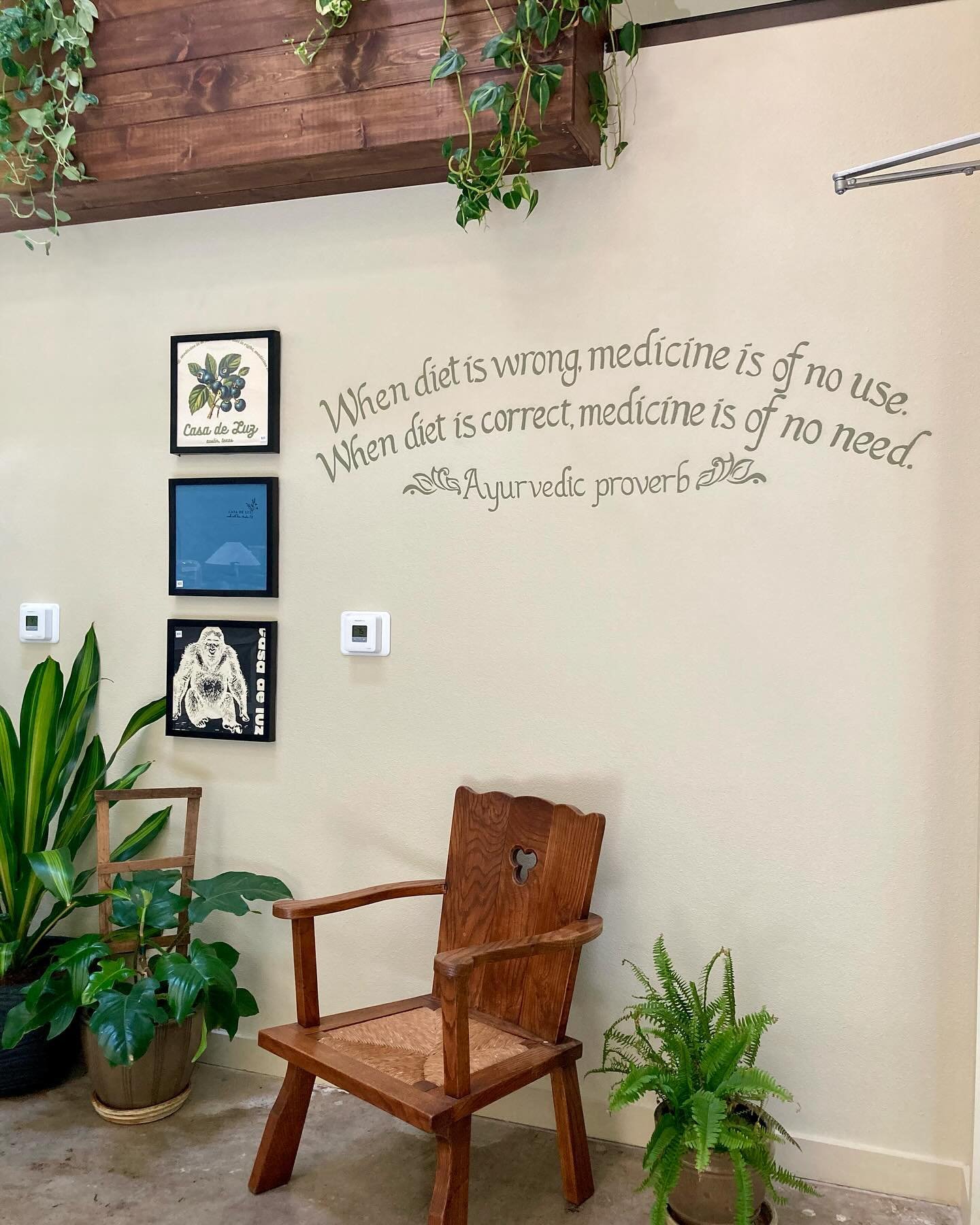 Our t-shirt wall @casadeluz_east is now home to our mission statement &ldquo;When diet is wrong, medicine is of no use. When diet is correct, medicine is of no need.&rdquo; Come see us, our t-shirts are back in stock.