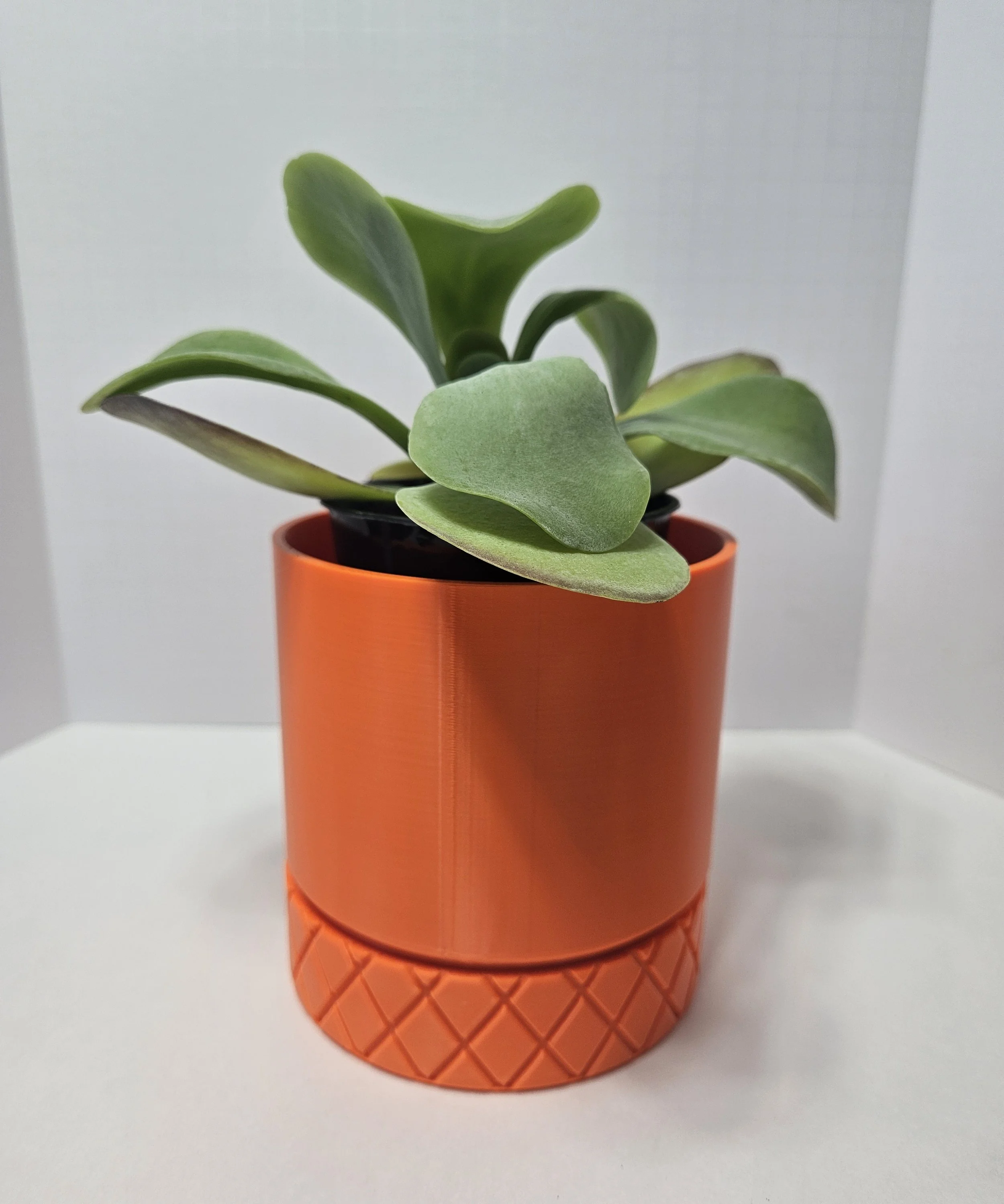 Orange Decorative Planter with plant