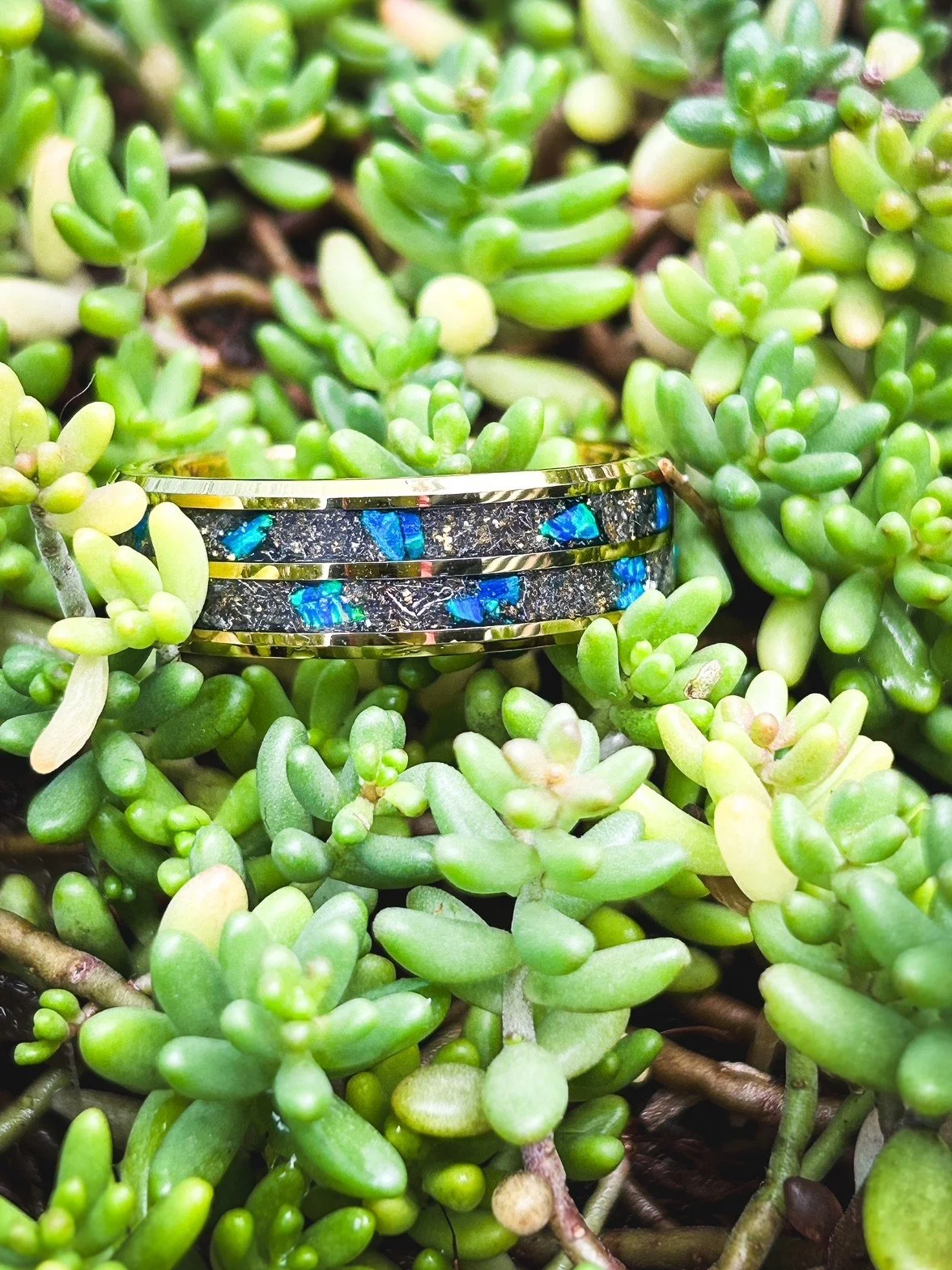 Meteorite and Opal Double Inlay Ring