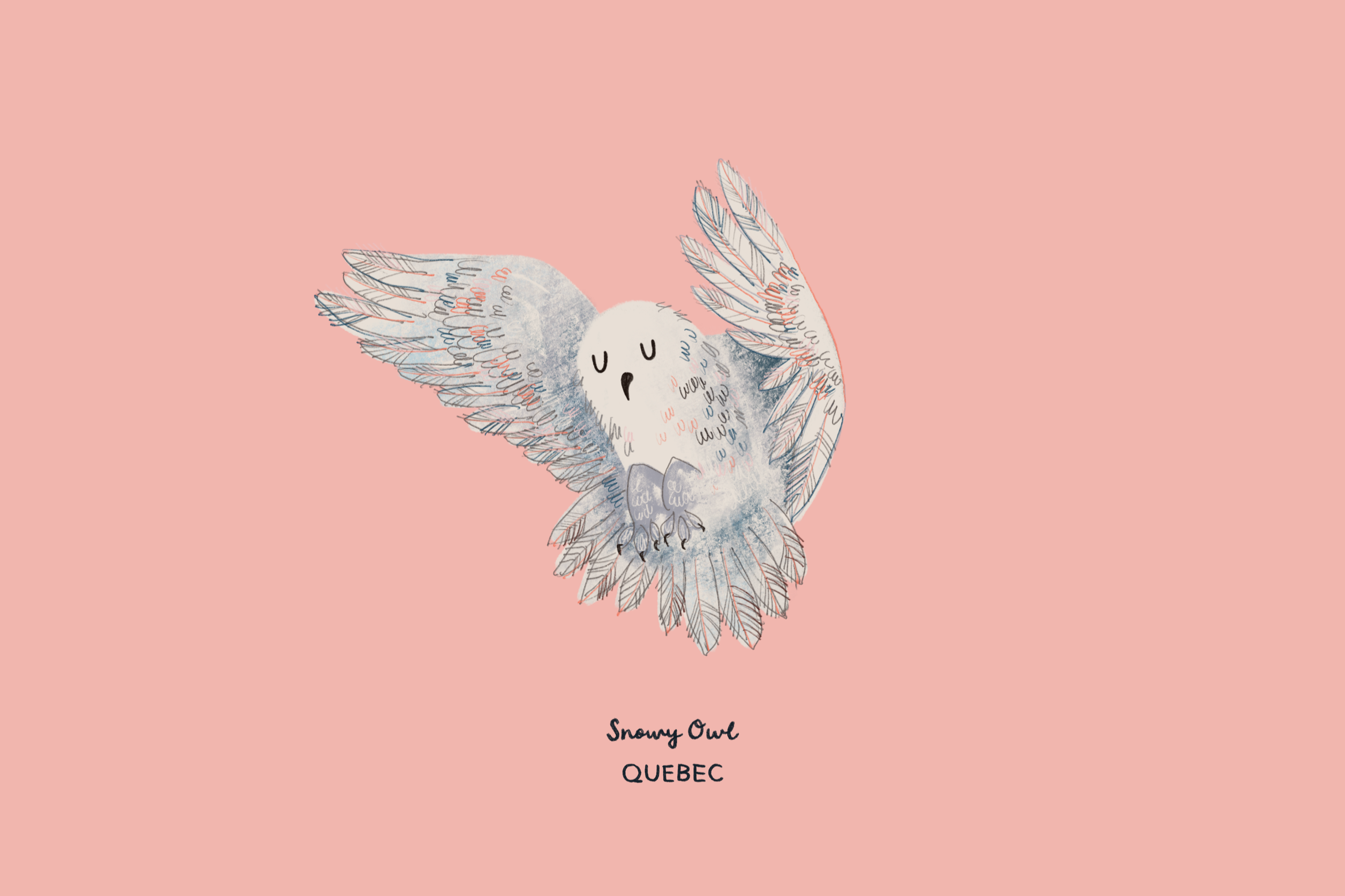 boc18.png