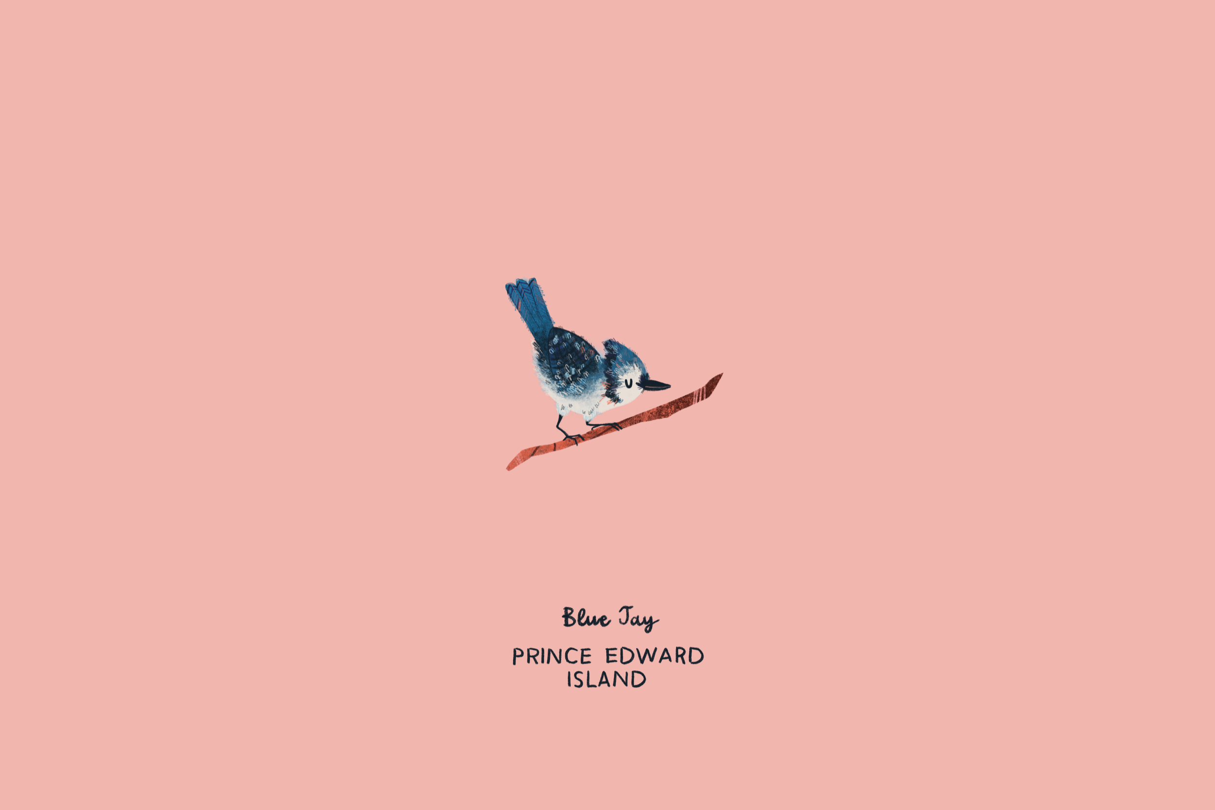 boc8.png