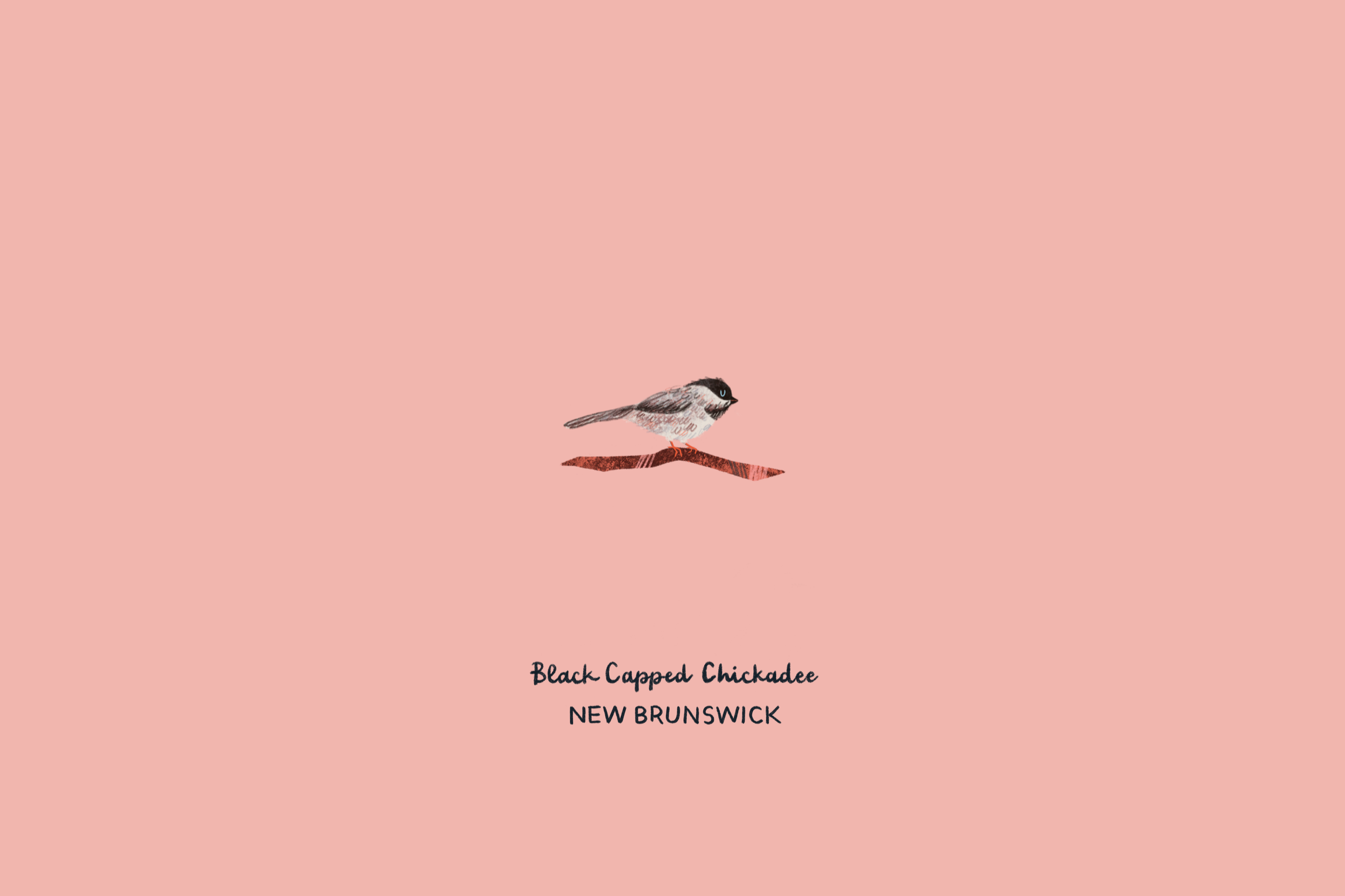 boc7.png