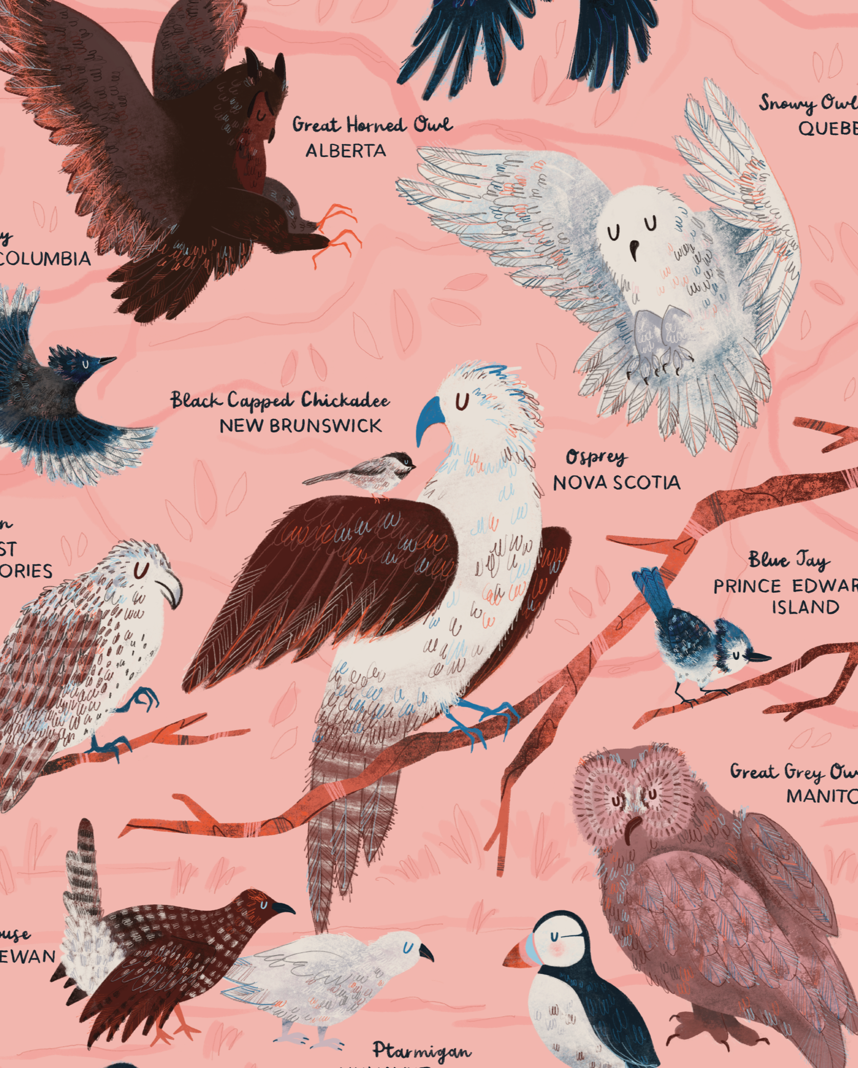 Birds of Canada