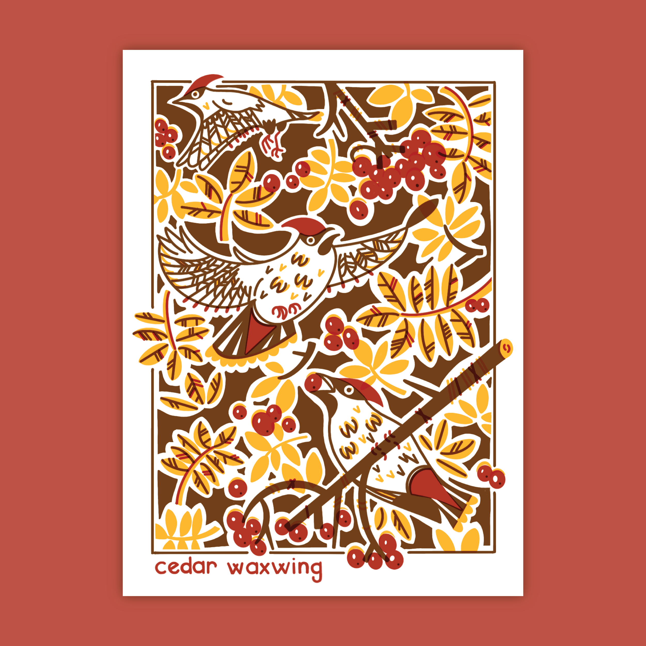 Cedar Waxwing