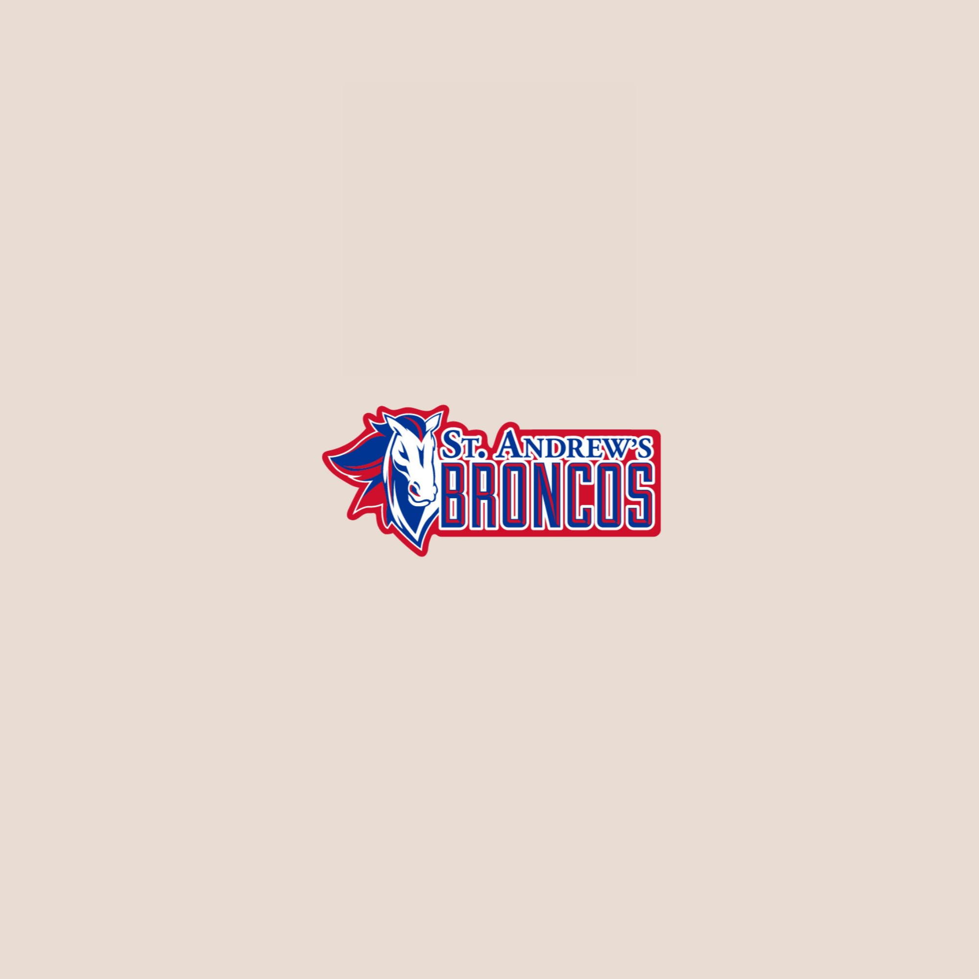 SAES MERCH (2).png (Copy)