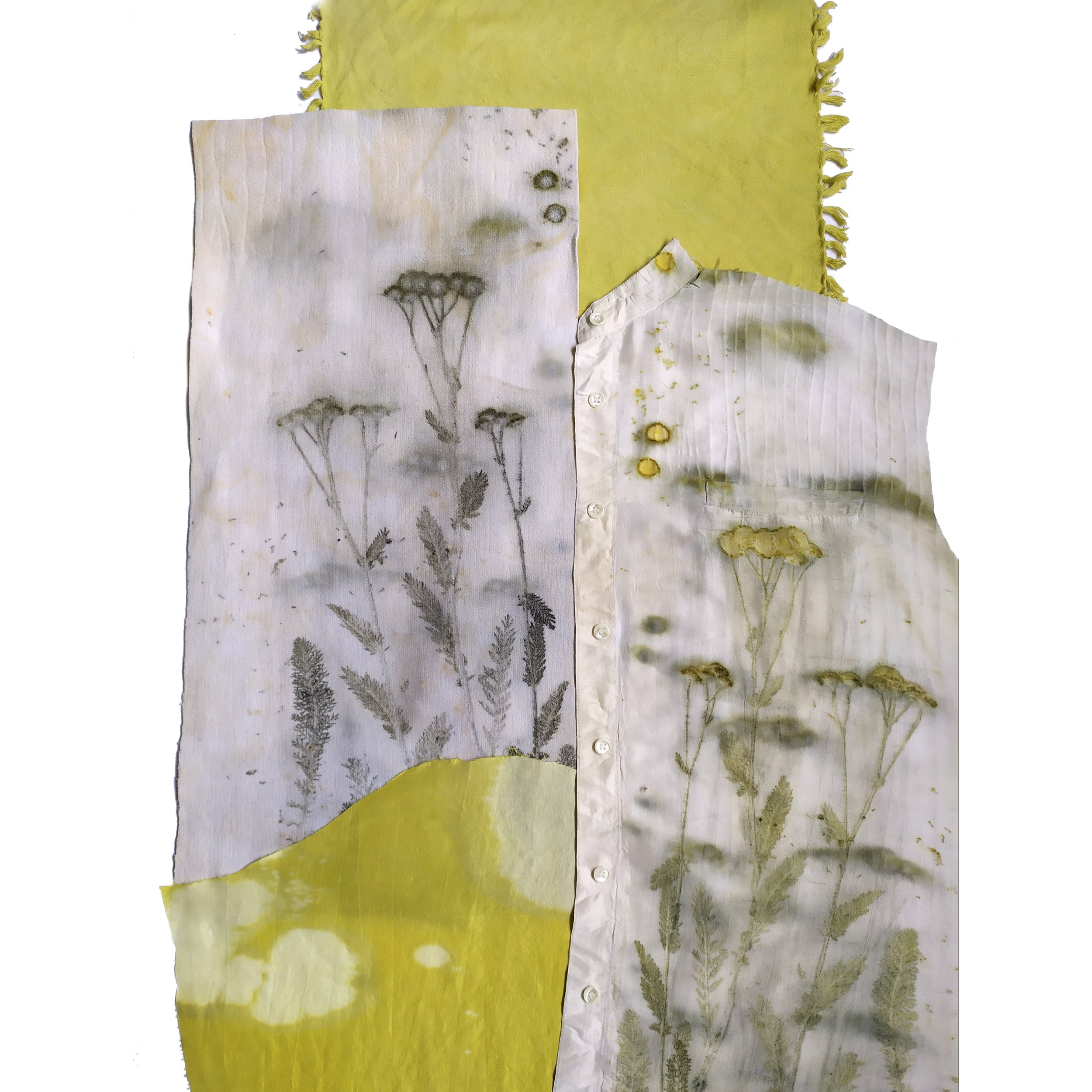 "Botanical Album of Soledar" 2021, Bogdana Voitenko