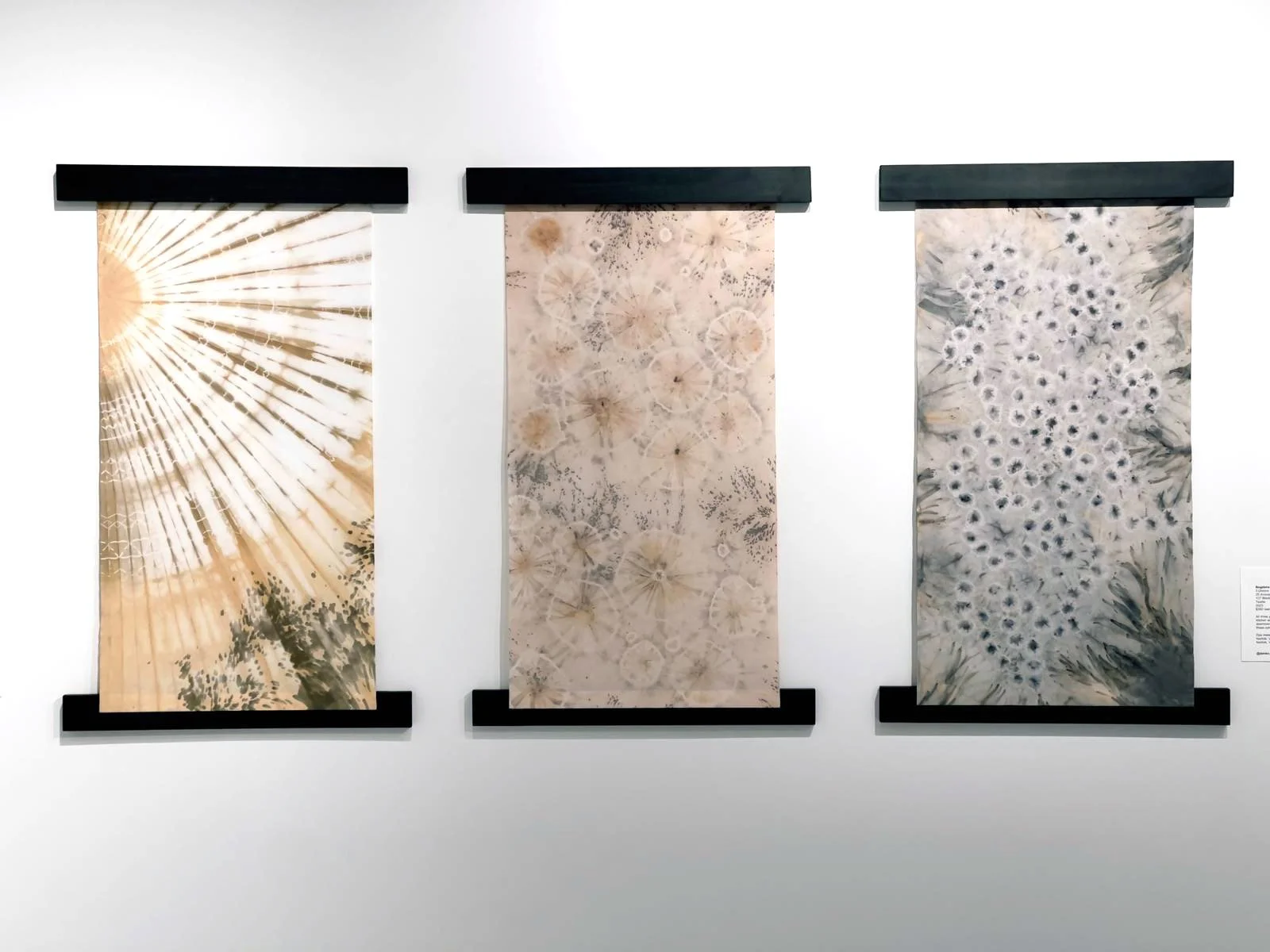 "Afterimages" 2023, Norfolk, VA