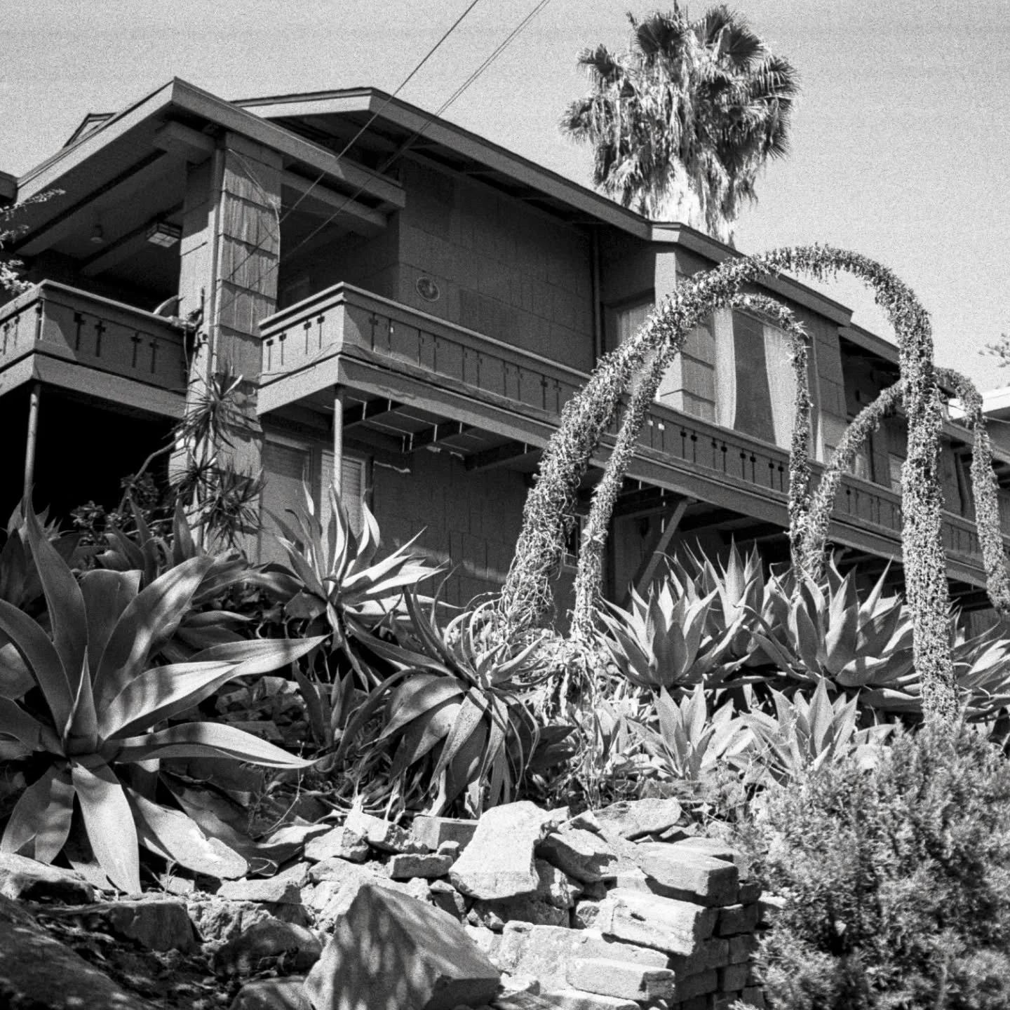 Definitely 2025 acquired skill - film photography. Plus two acquired cameras that make me so excited about the development of this journey  in 2026.