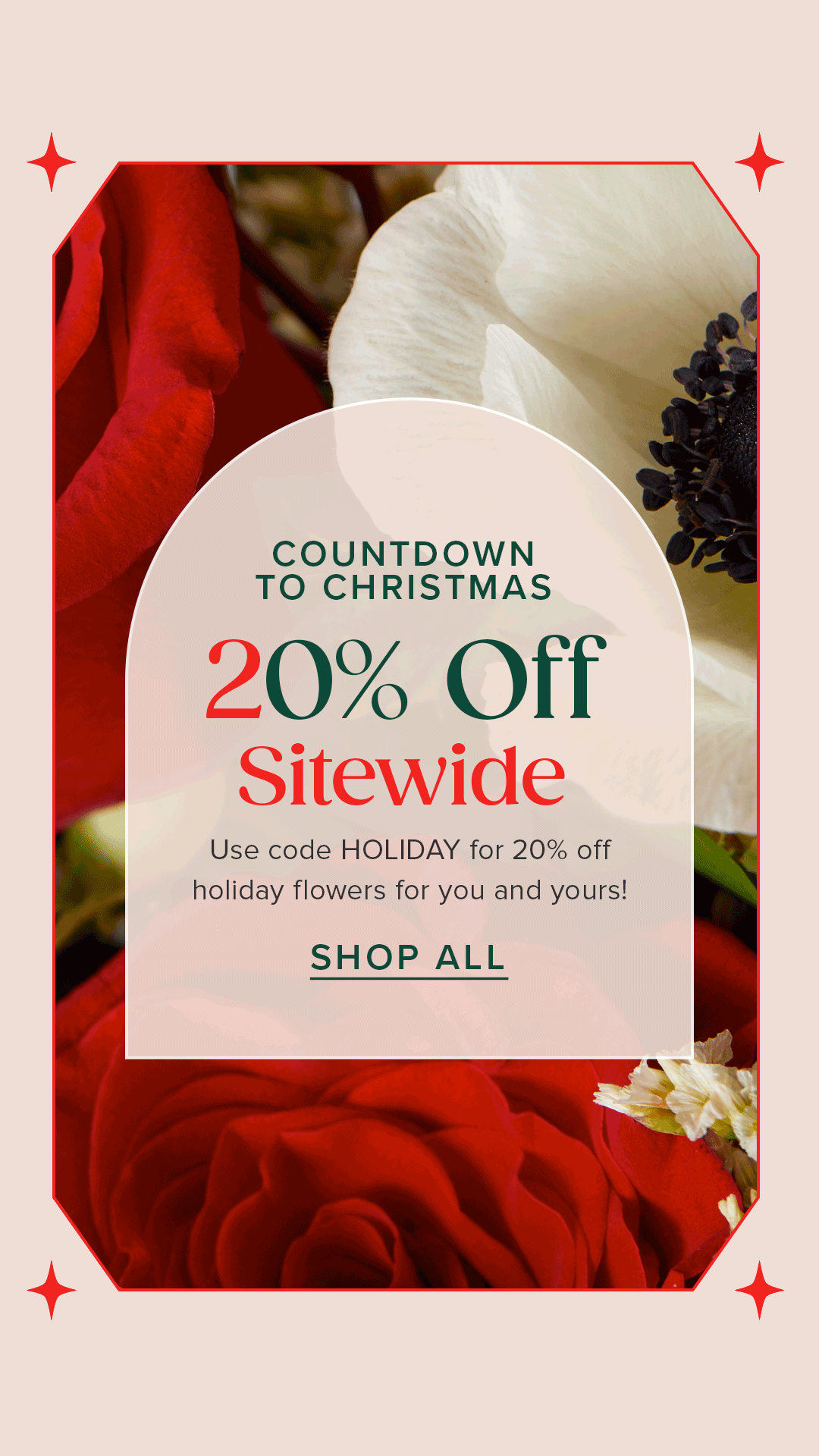 1218_LastChance20%Off.gif