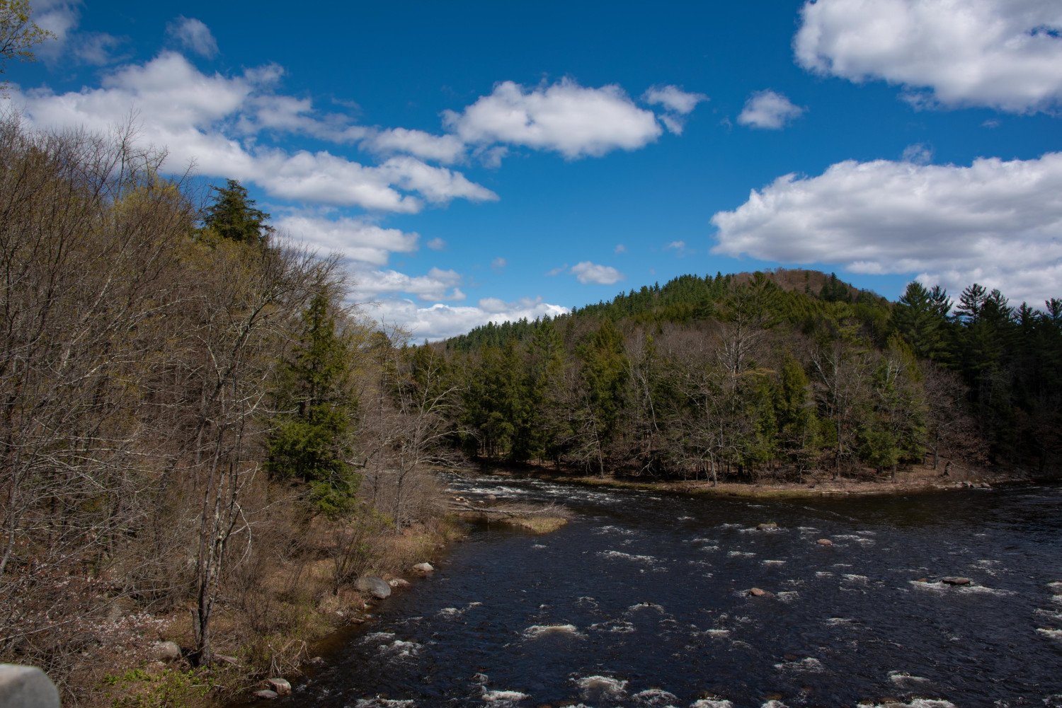 Adirondack Mountain Stream.jpg