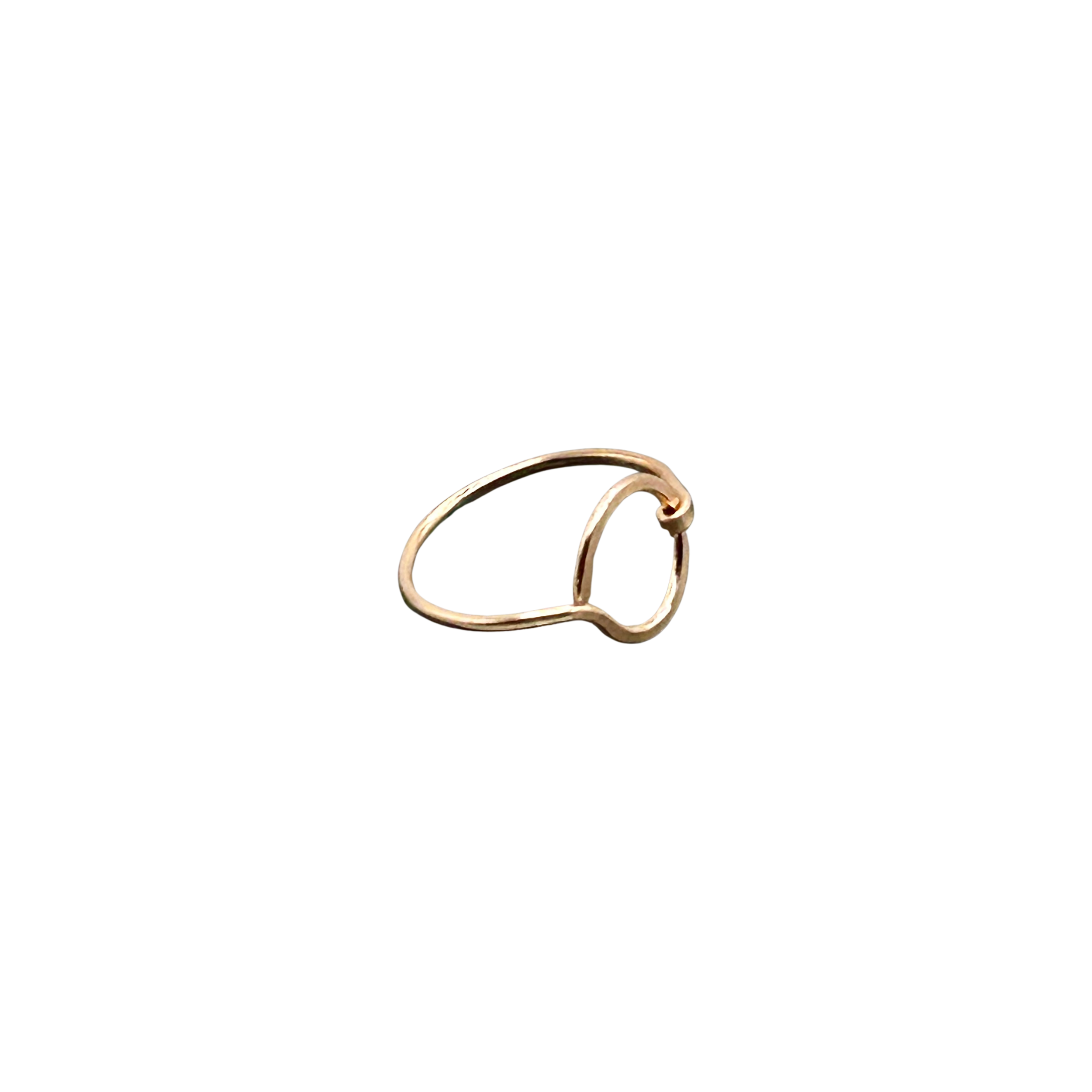 open horizons ring tan background.png