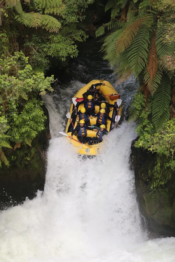 The big 10-years-of-Tilma-Group celebration!