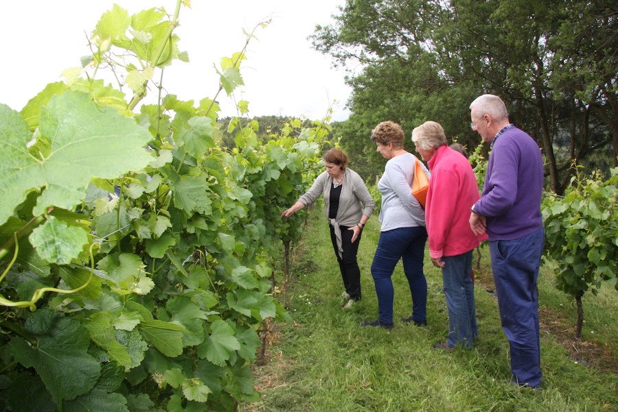 Winery tour and walk.JPG