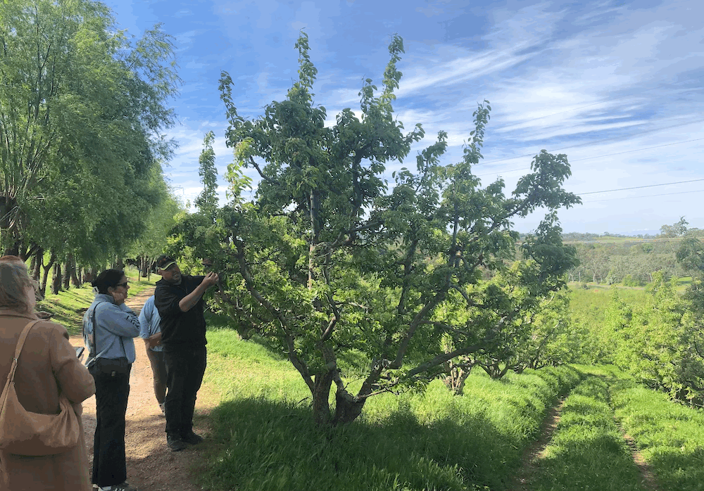 An insider’s guide to thriving in agritourism: Ideas, inspiration, and opportunities for farmers from the National Agritourism Forum