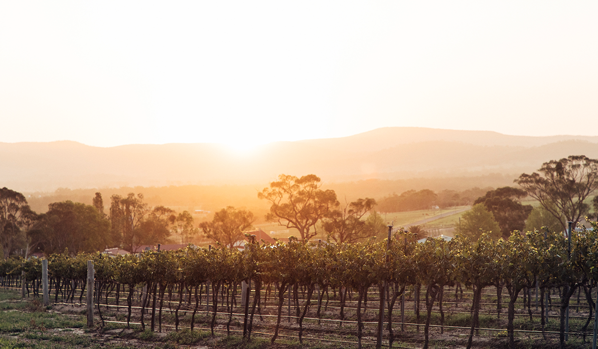 Cultivating regional tourism success: Granite Belt Wine Tourism as a best-practice&nbsp;local tourism organisation (LTO) case study