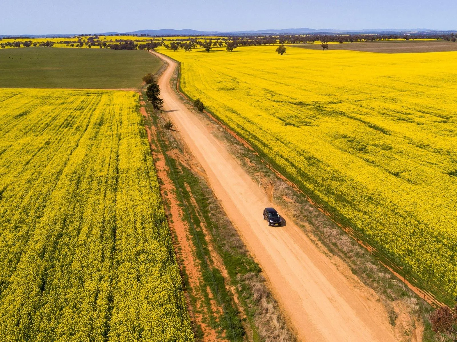 The power of collaboration in rural tourism: Lessons from the Canola Trail