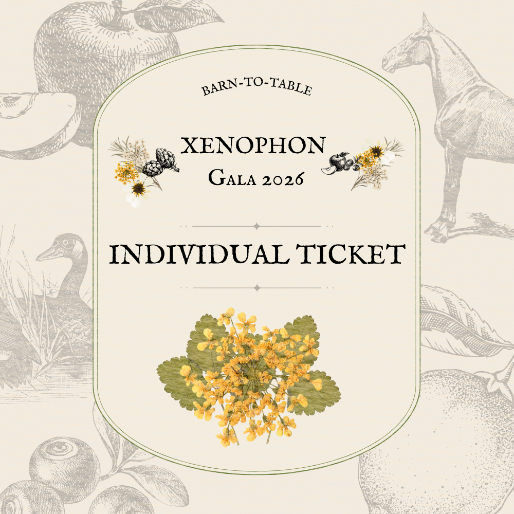 Gala 2026 Ticket (Individual)