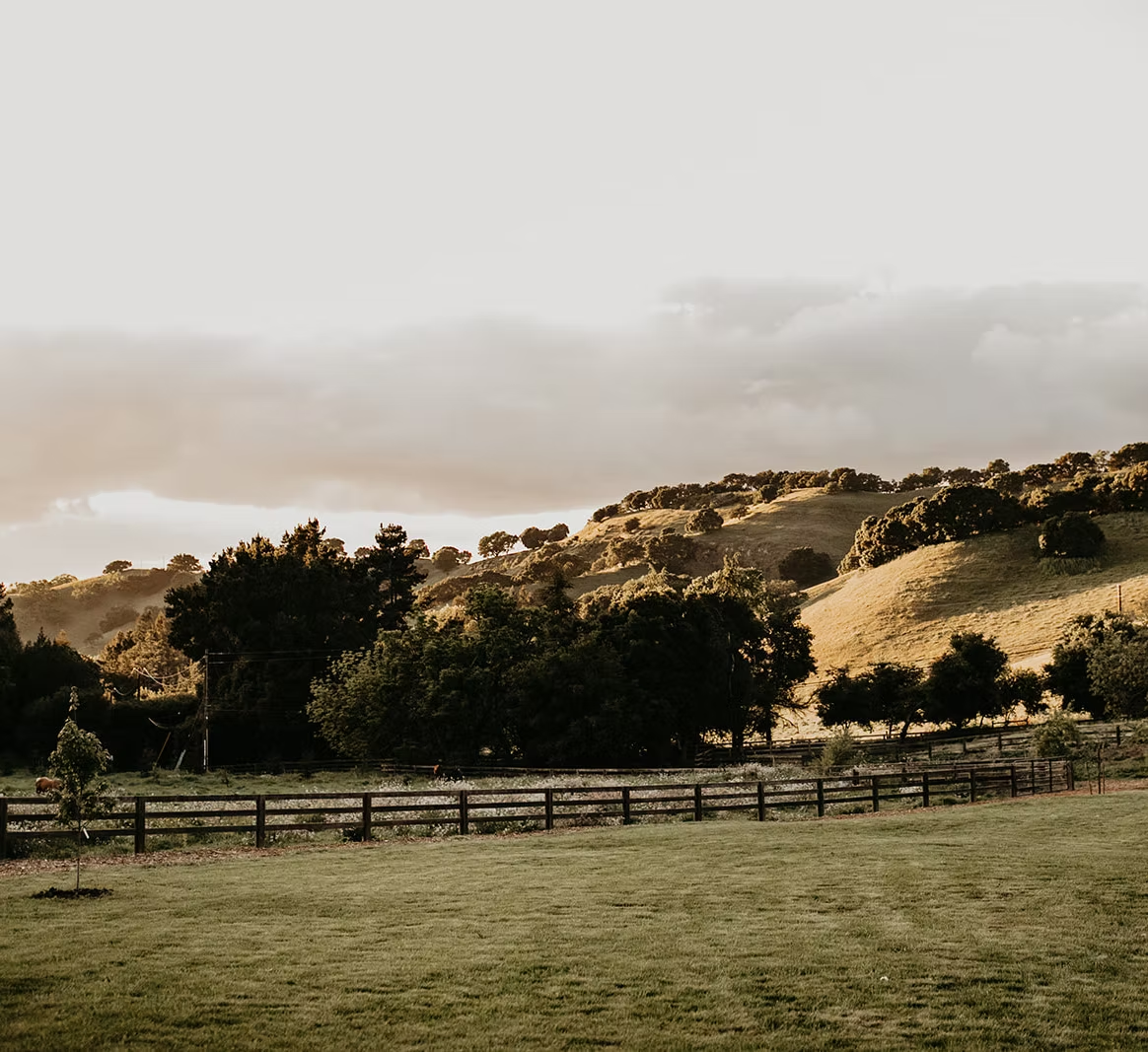 Landscape at JBL Home Ranch