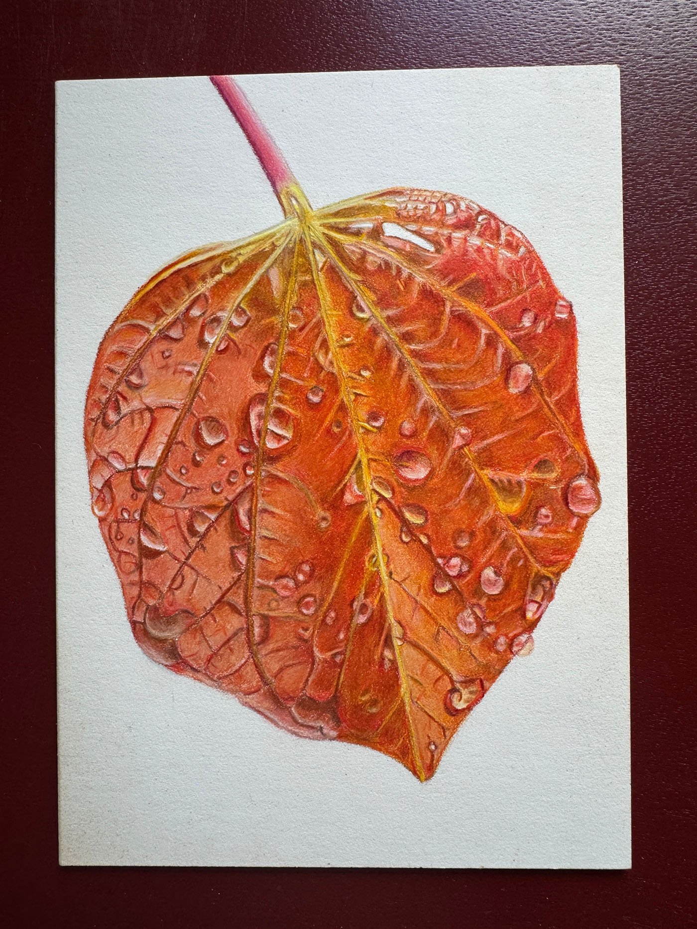 RisingSunRedBudLeafWEB.jpg