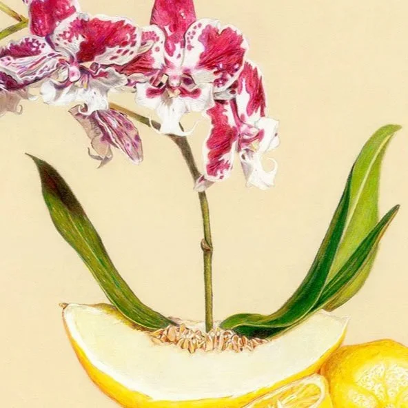 orchid-and-fruit