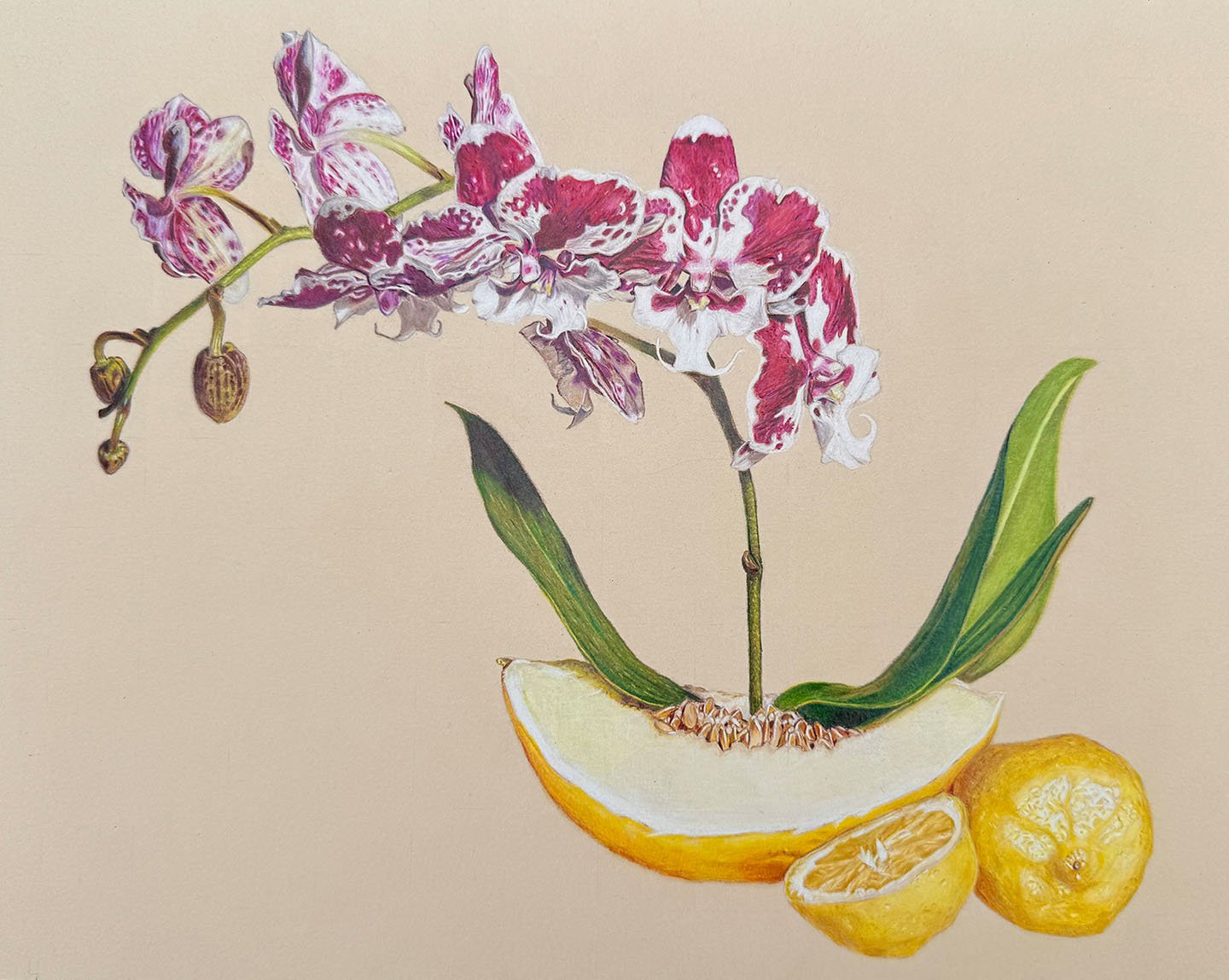 Orchid_phone_web.jpg