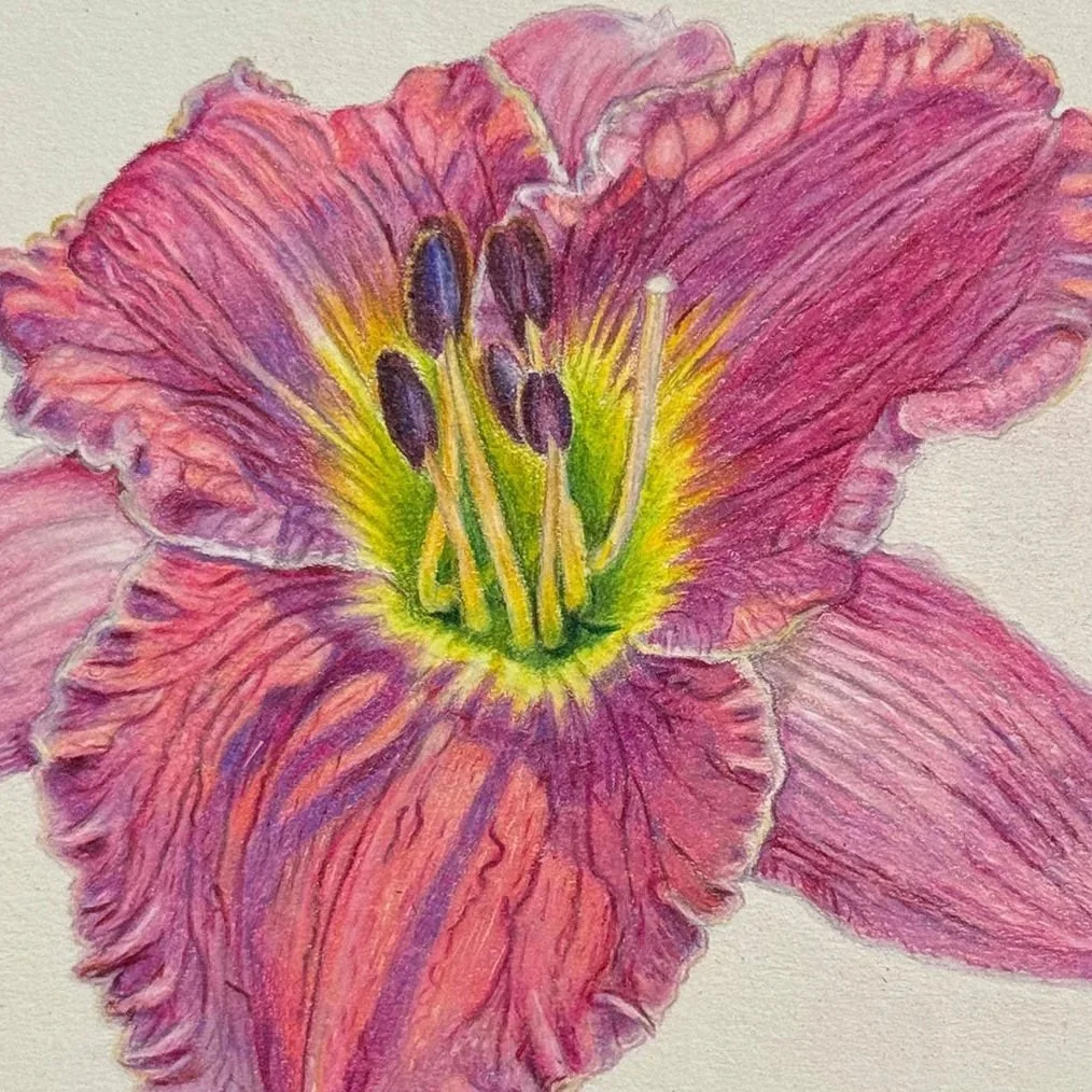 Lily