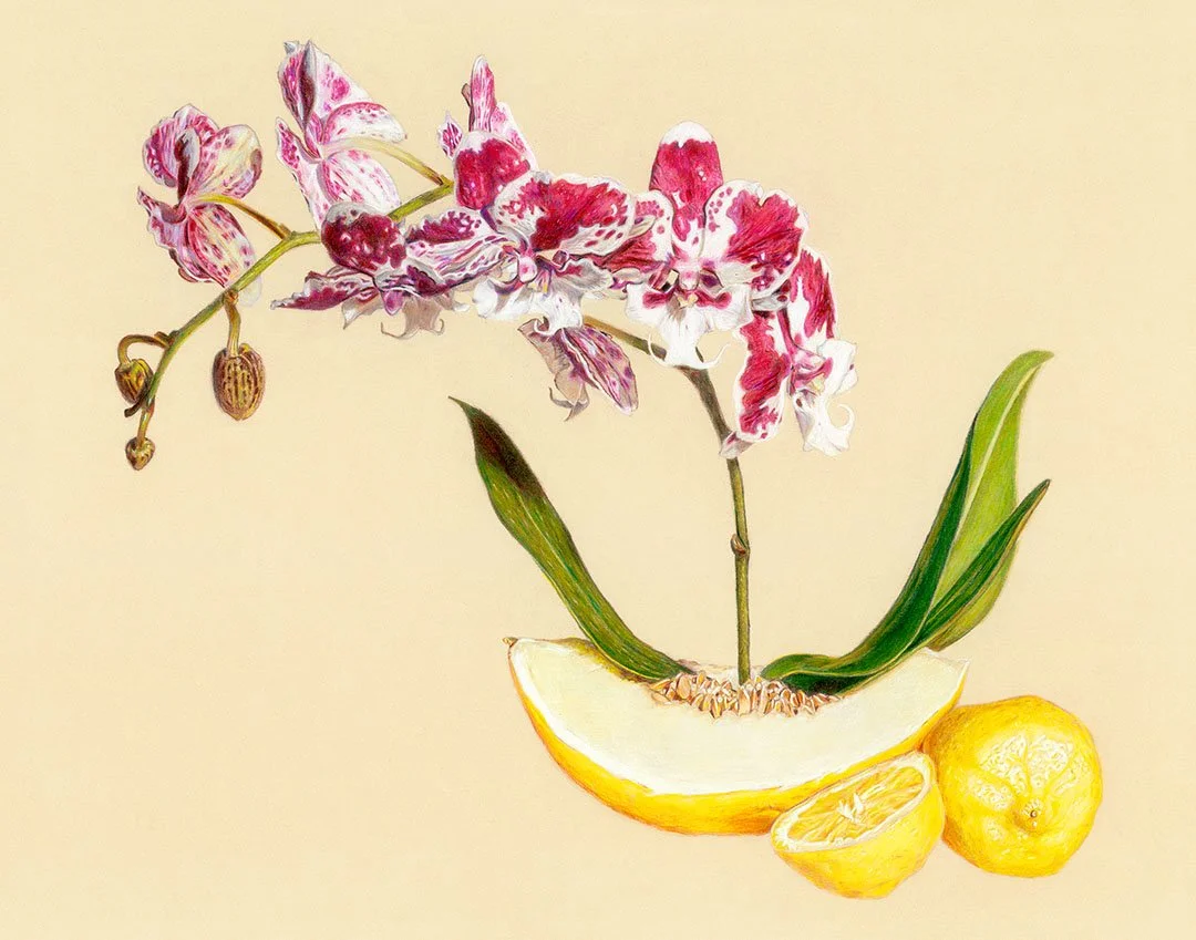 Perry, Orchid_web.jpg