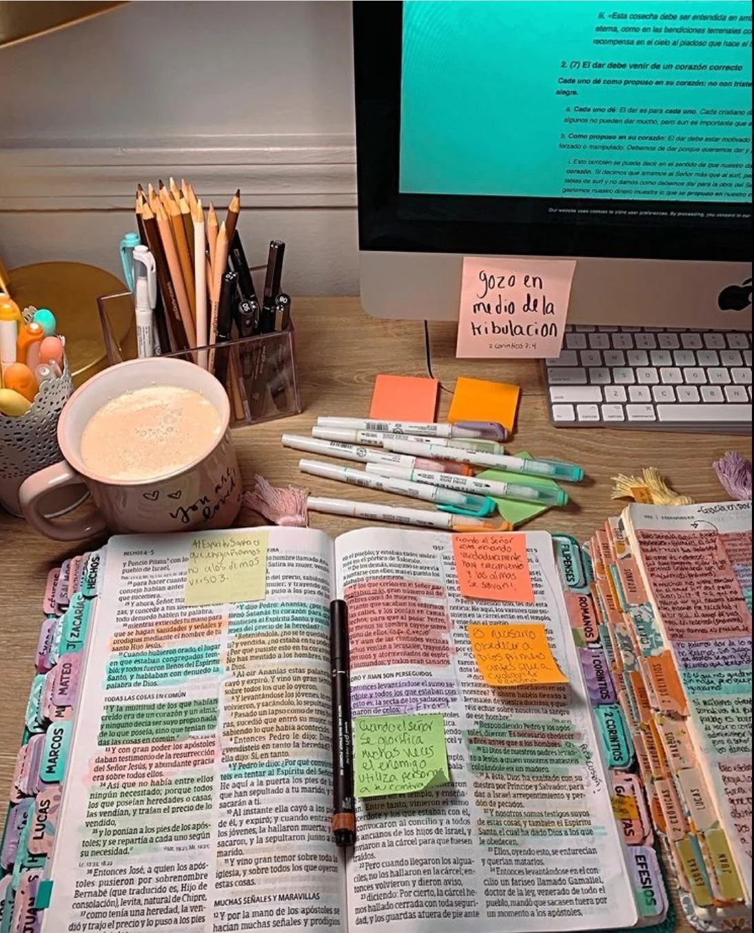 Digital Strategy | Web Designer | Ecommerce | SEO | HightLevel | Squarespace | Shopify | Tarjetas | Impresos |  Dieño de productos | Reputación online