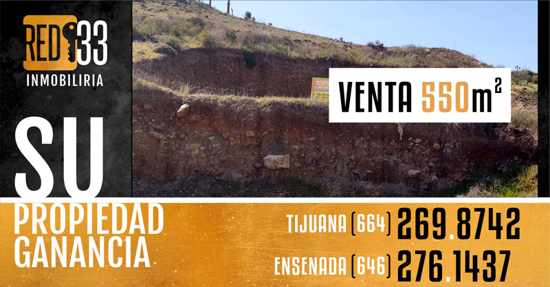 ruta646-lona1.png