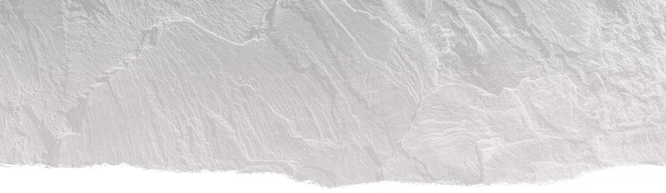 Alimento Solido background