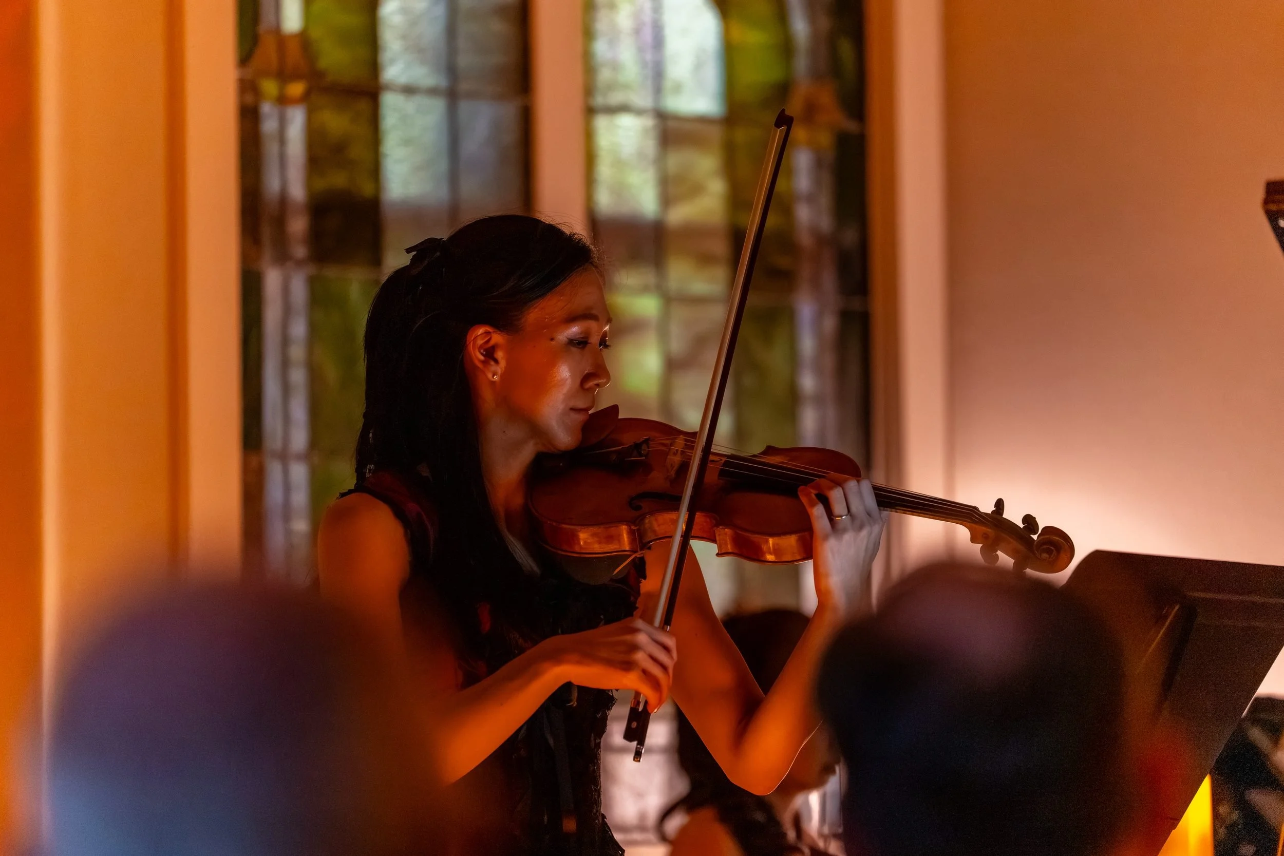 Violinist by candlelight, audience in the foreground