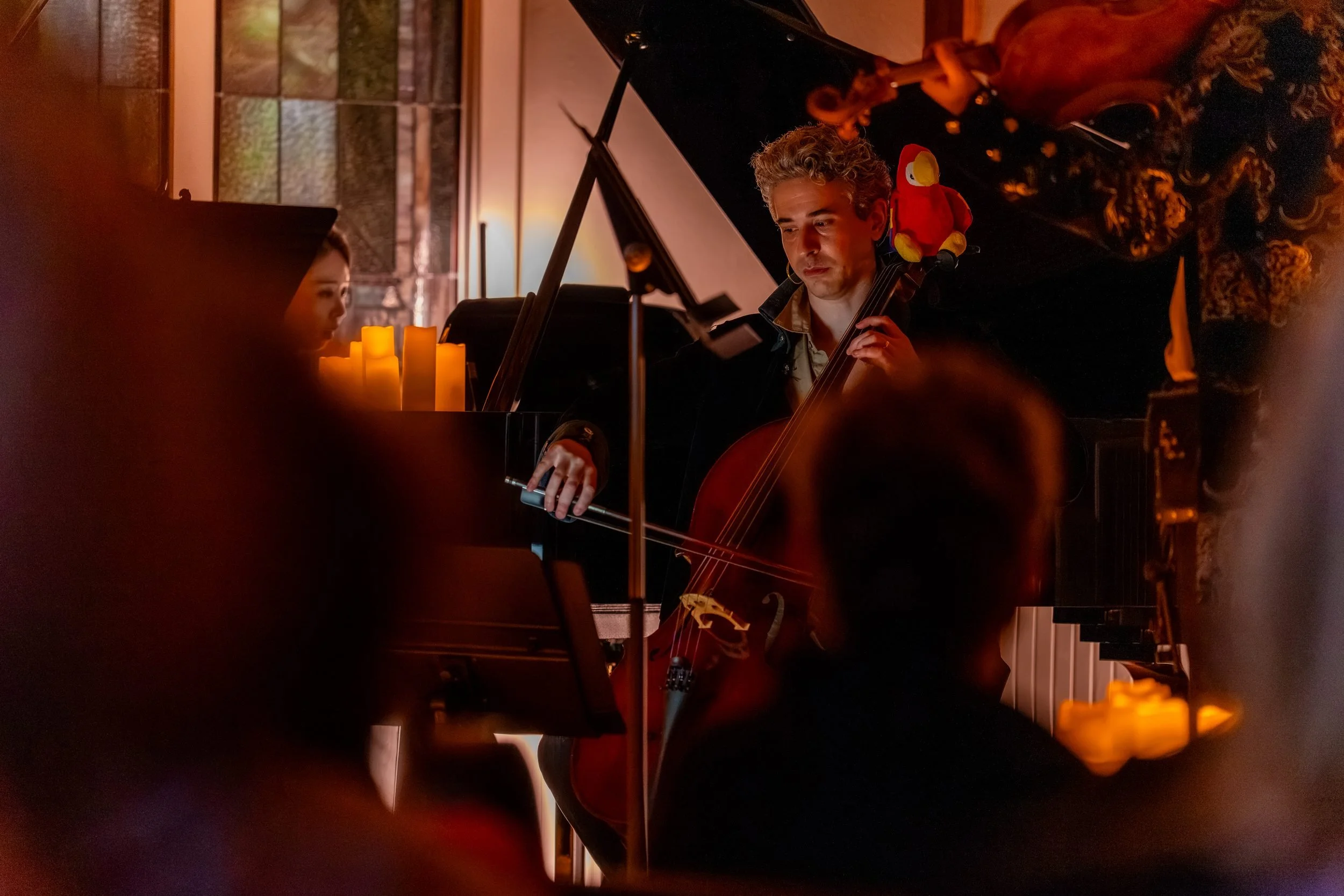 Cellist with the toy parrot seen past the audience