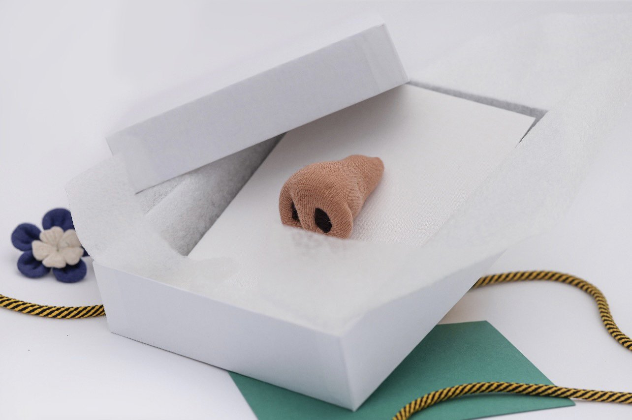 edited nose in box.jpg