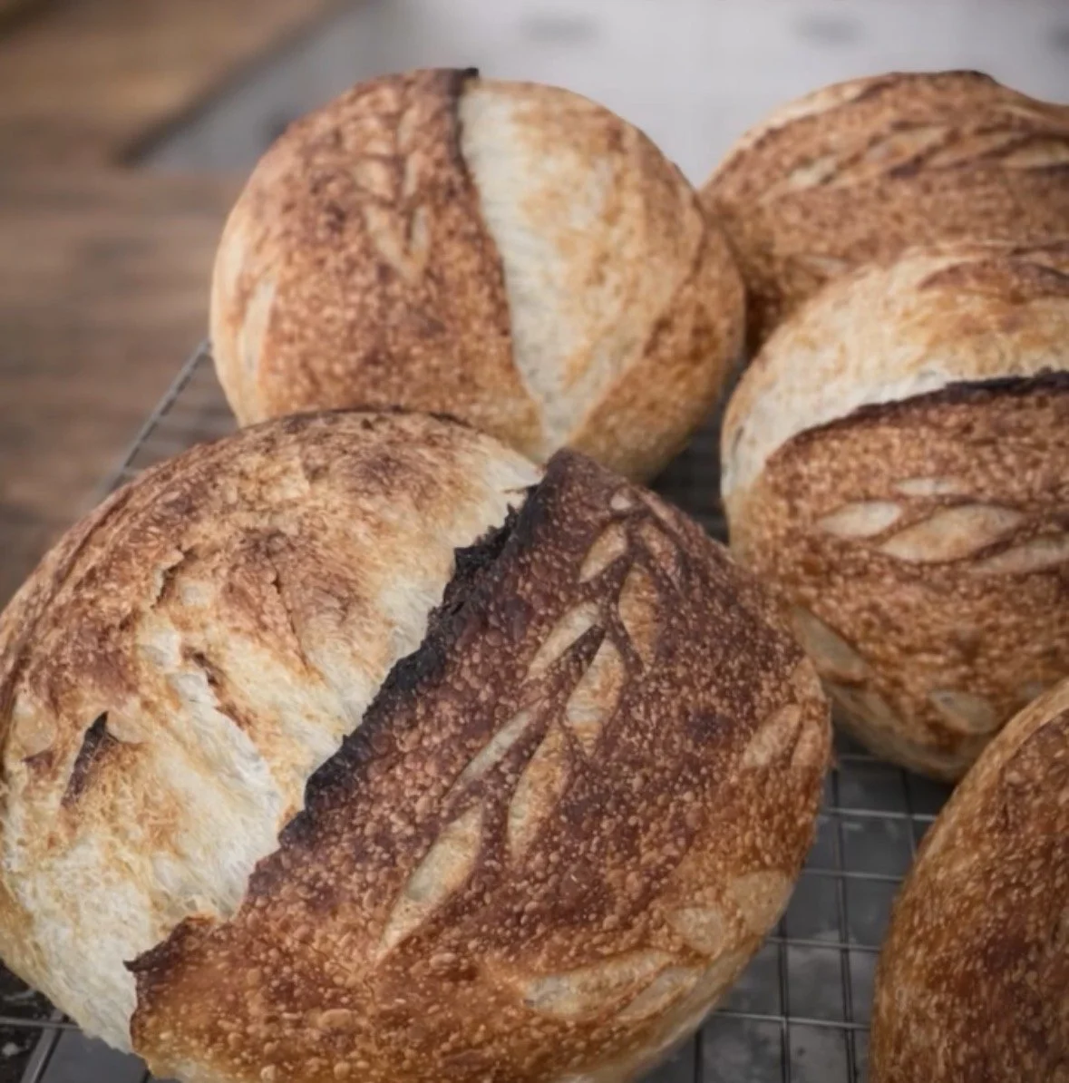 Bake &amp; Bloom: The Art of Sourdough