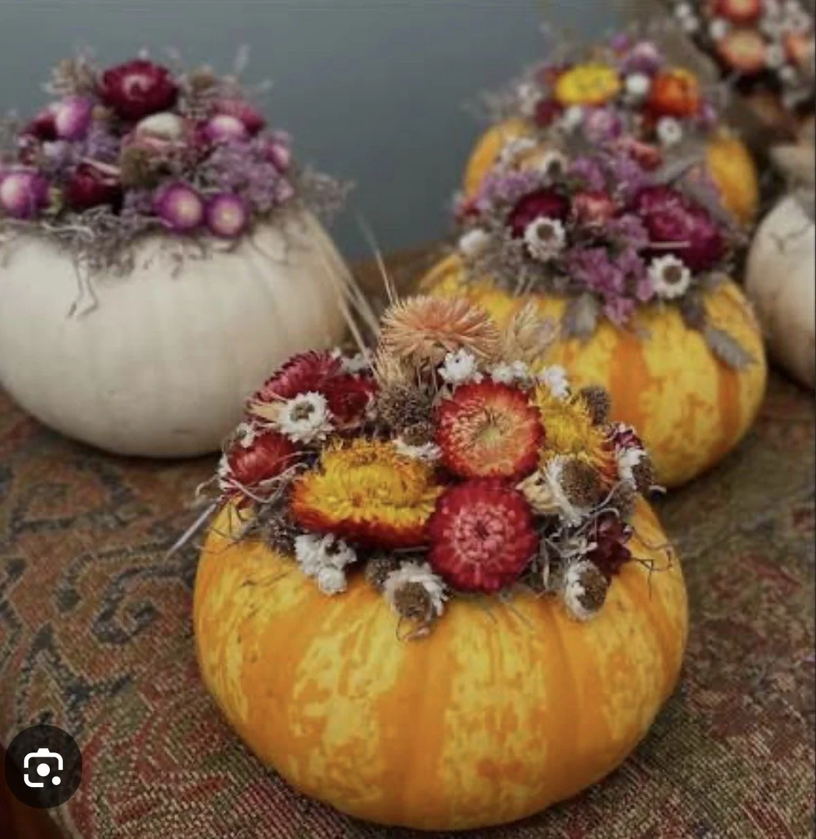 Petals &amp; Pumpkins