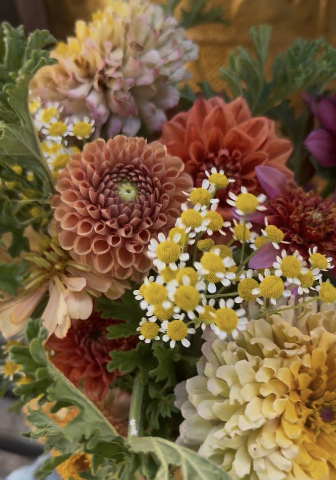 Weekly Bouquet Subscription (4 week)