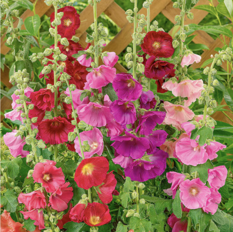 Image 7-12-26 at 2.05 PM.png