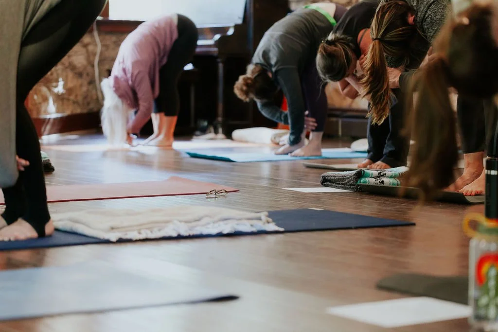 group yoga forward fold-11.jpg