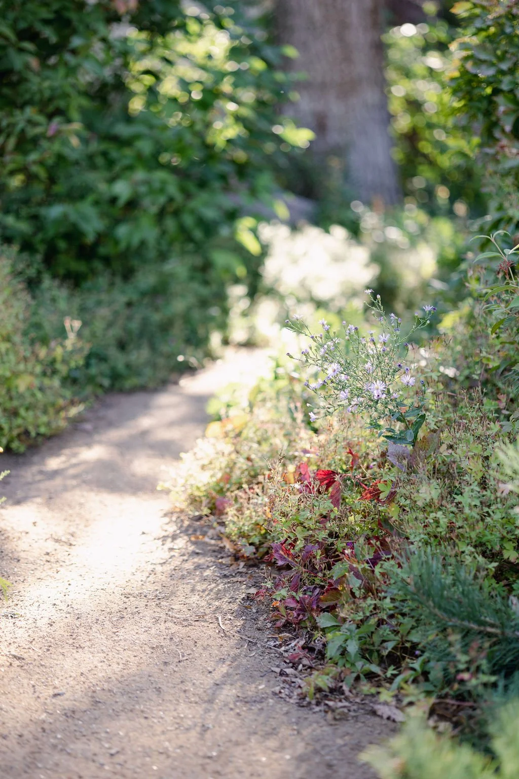 hh-cornerhouse-grounds-22.jpg