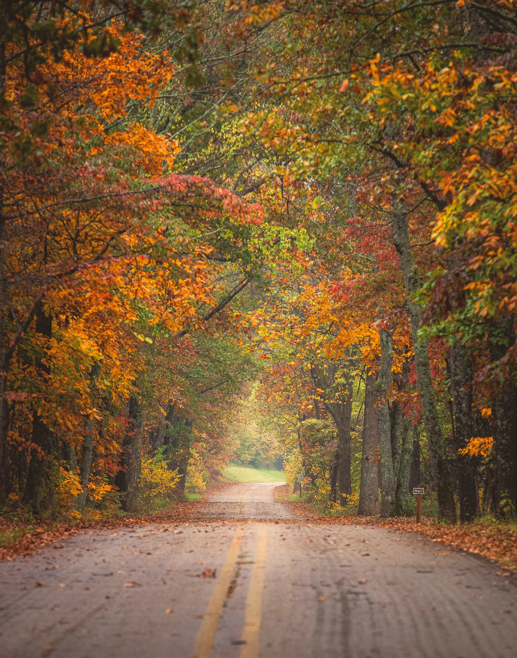 pea-ridge-military-park-arkansas.jpg