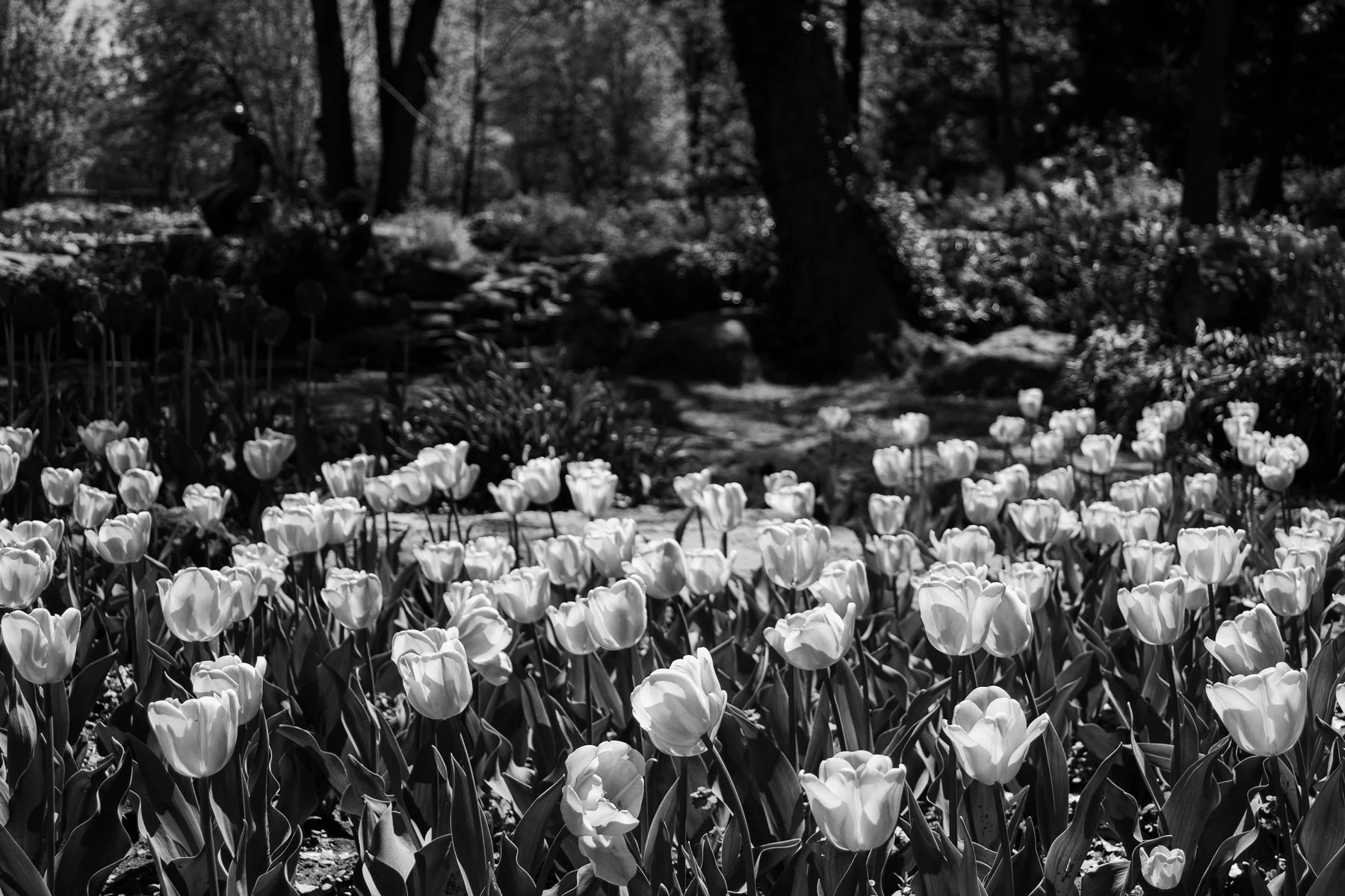 Woodward-Park-Tulsa-Ok.jpg