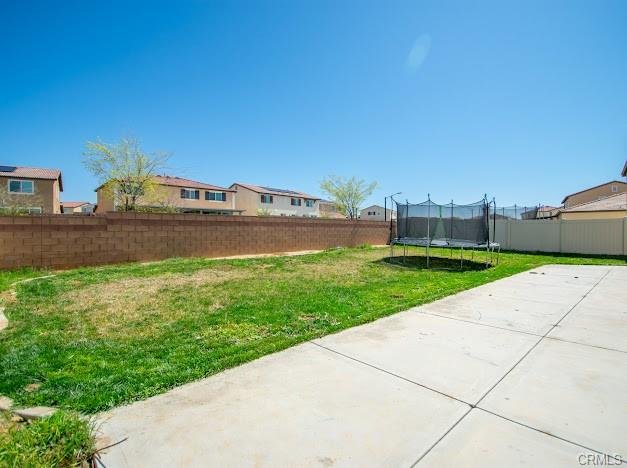 backyard-1.jpg