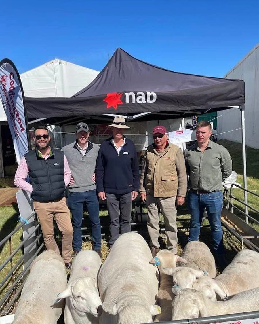 A big thank you to NAB for the invitation to share their stand. The level of interest in Sheepmasters seems to grow every time they get out and about. We had a great three days at the Orange National Field Days with Coddington Sheepmasters.
