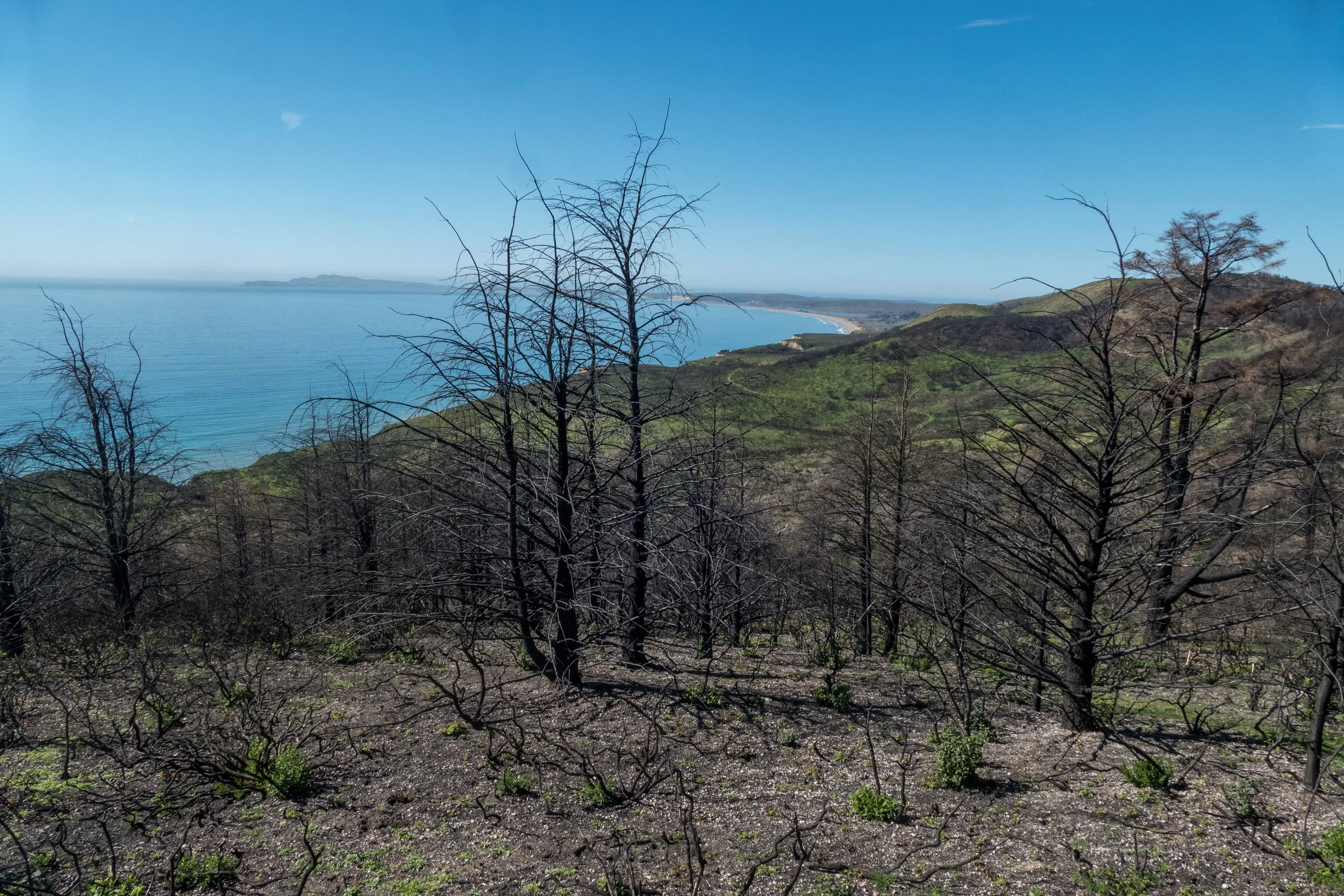 Top of Coast Trail (1 of 1).jpg