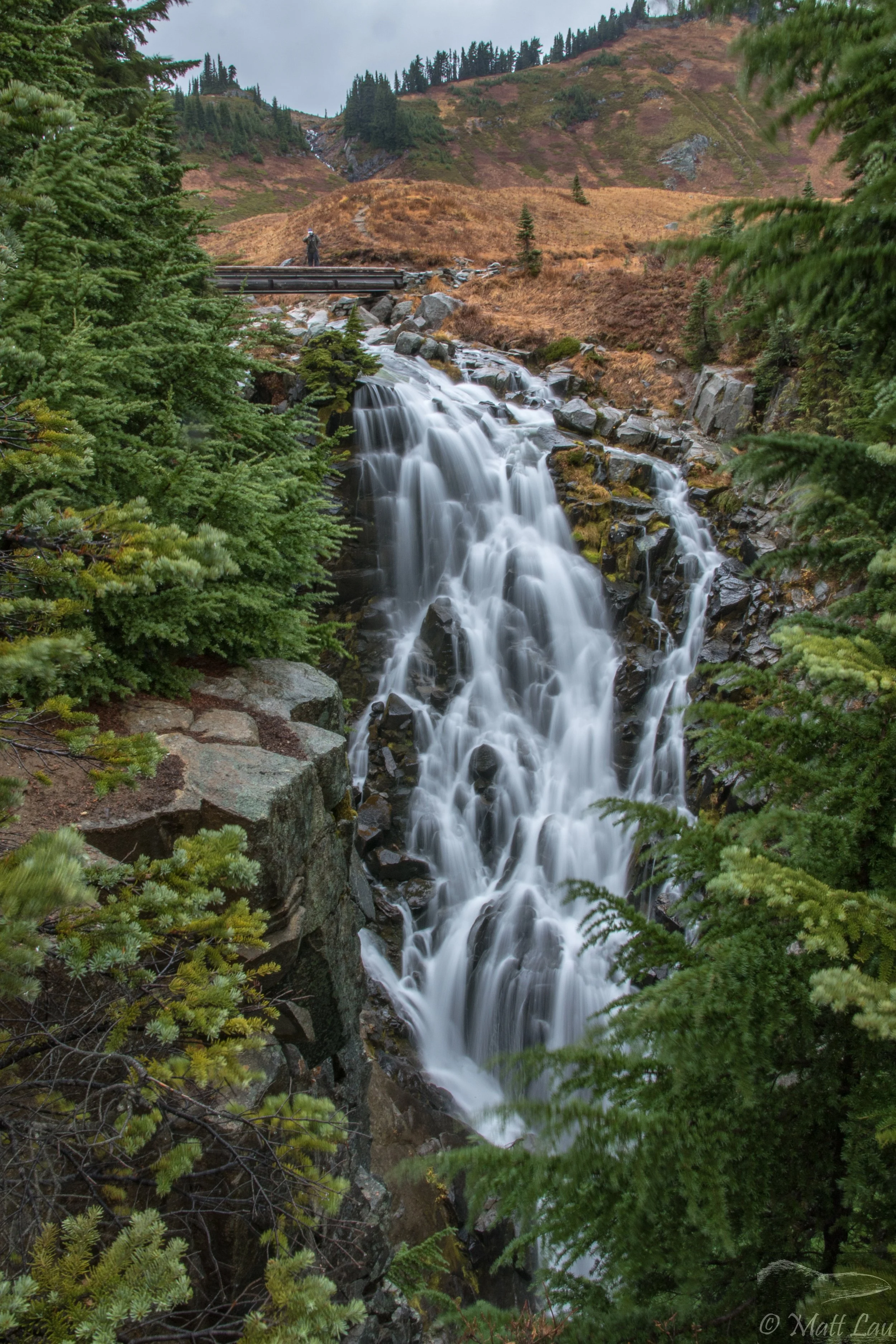 Myrtle Falls (2).jpg