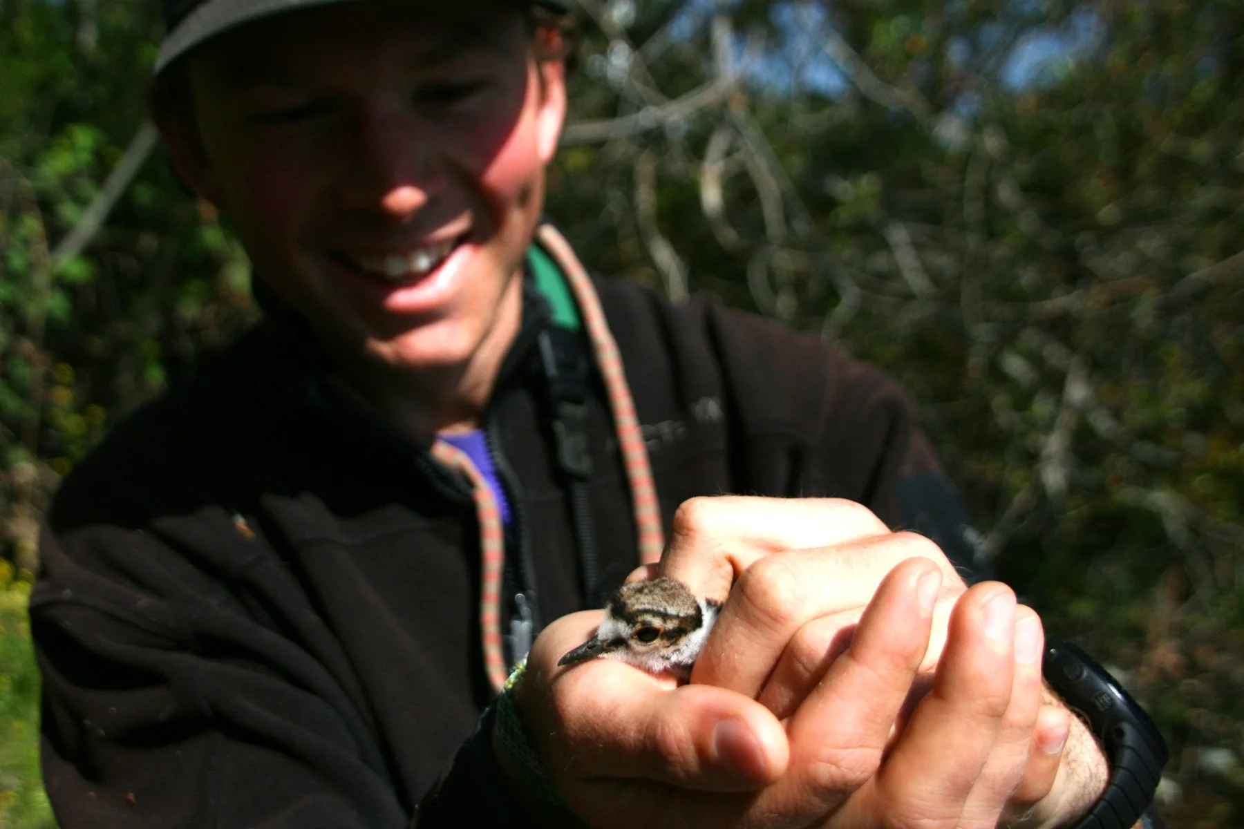 Luke and killdeer - Redding.jpg
